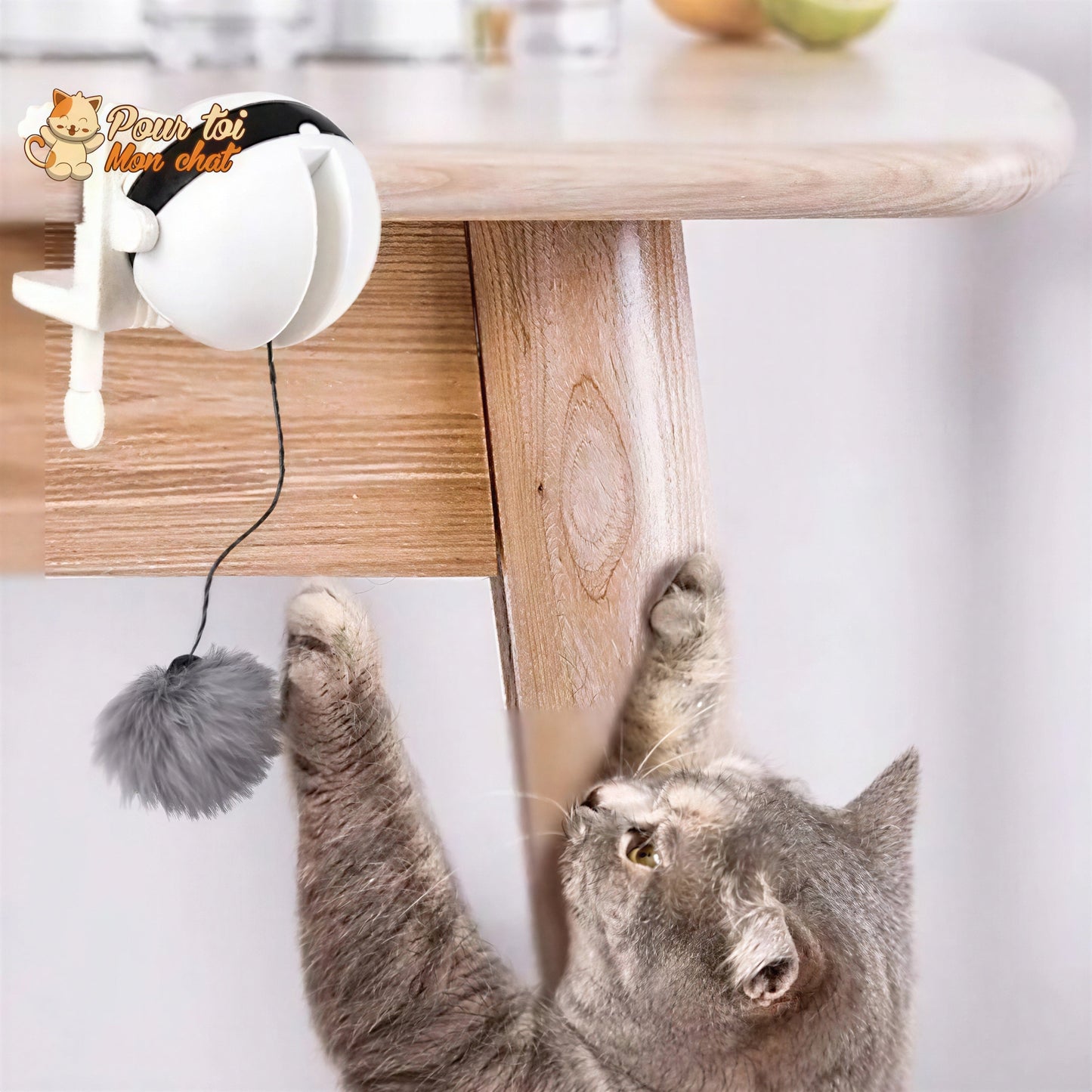 Balle Interactive pour chat - Attrap'Ball™ Pour toi Mon chat