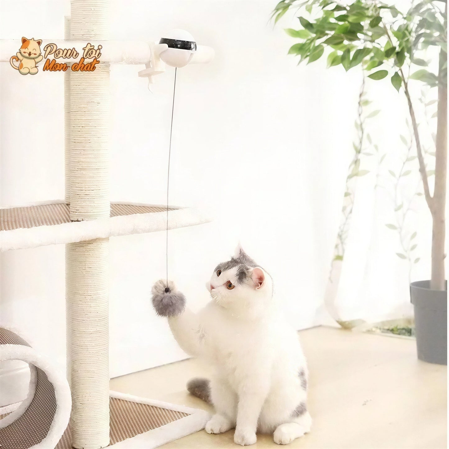 Balle Interactive pour chat - Attrap'Ball™ Pour toi Mon chat
