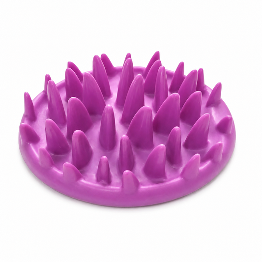 Gamelle Anti Glouton Chat Antidérapante en Plastique Dur Pour toi Mon chat