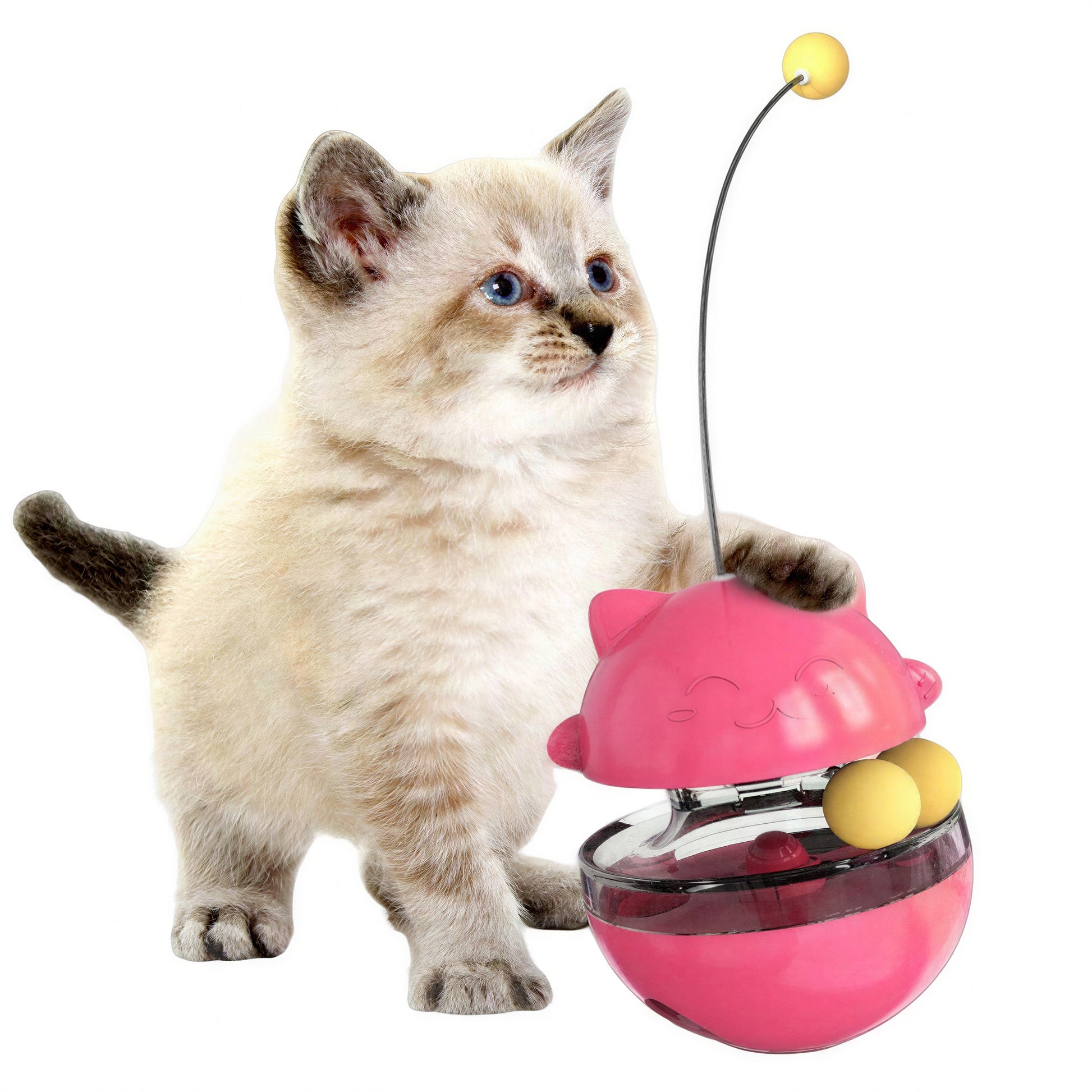 Jouet Distributeur de Friandises pour Chat - Chat’Culbuto™ Pour toi Mon chat