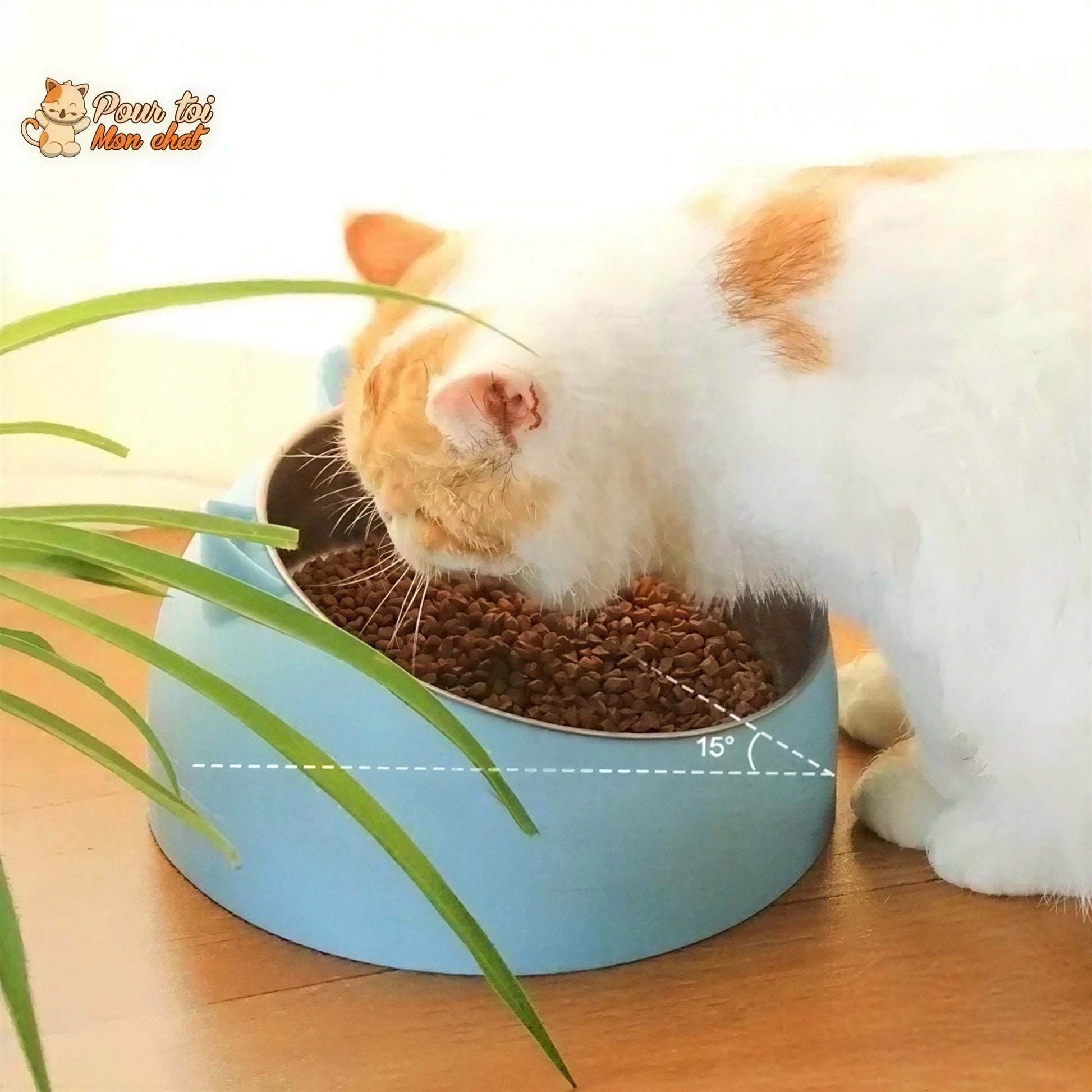 Gamelle Inclinée pour Chat - KittyBowl™ Pour toi Mon chat