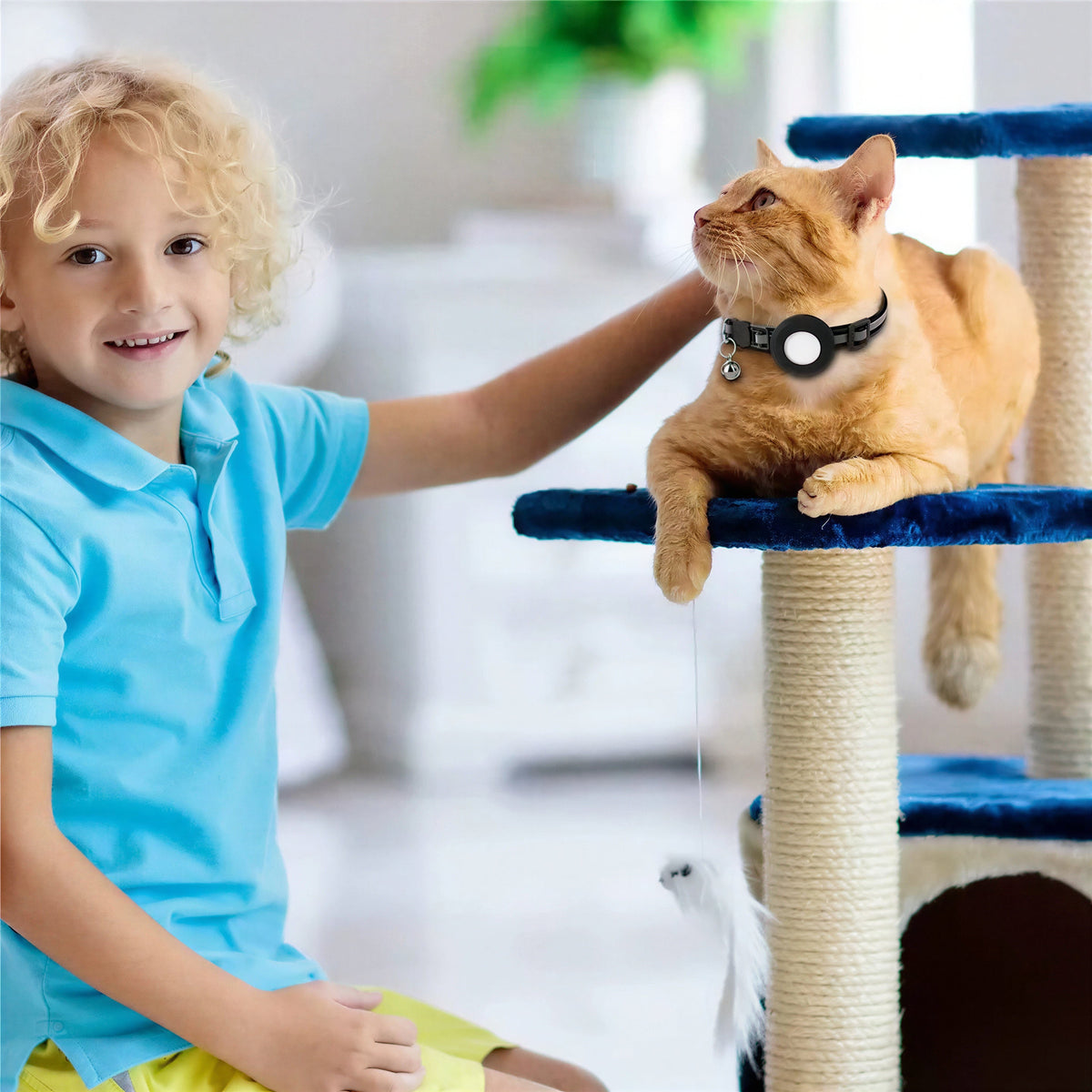 Collier Chat Anti Étranglement à Dégagement Rapide avec Emplacement pour Traqueur Pour toi Mon chat