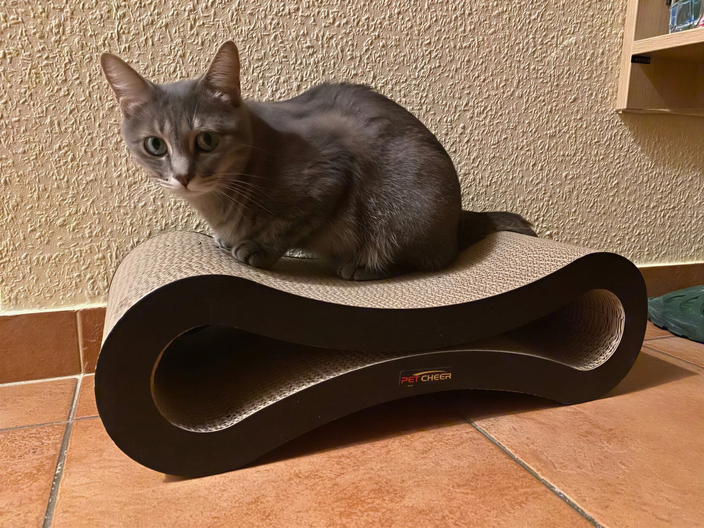 Lit à gratter pour chat en carton ondulé Pour toi Mon chat