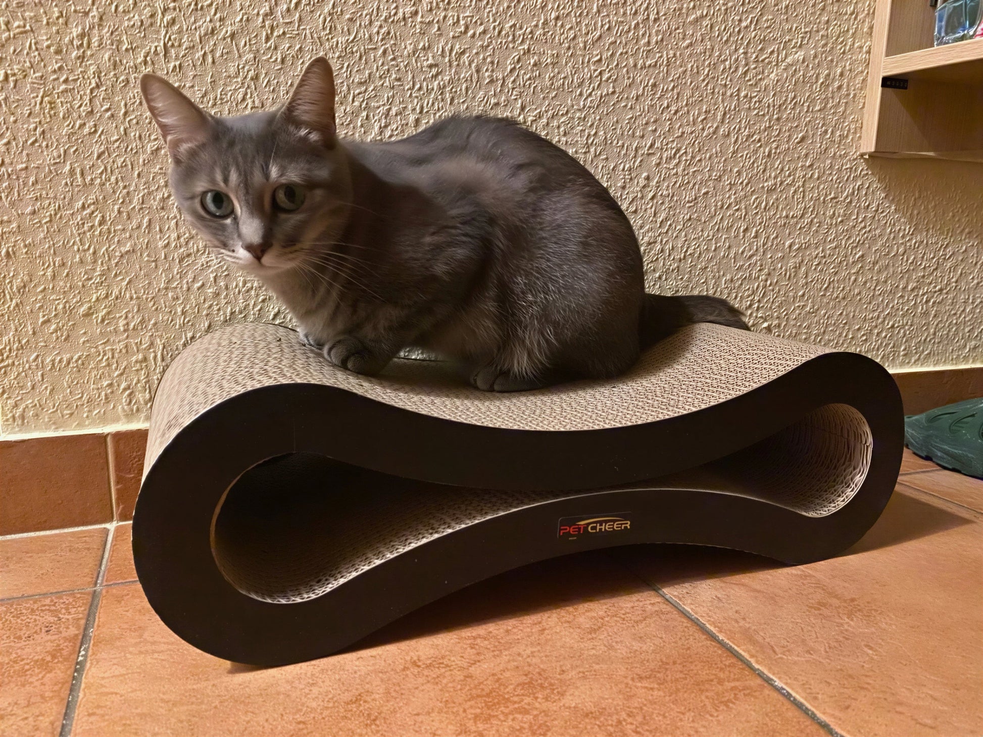 Lit à gratter pour chat en carton ondulé Pour toi Mon chat
