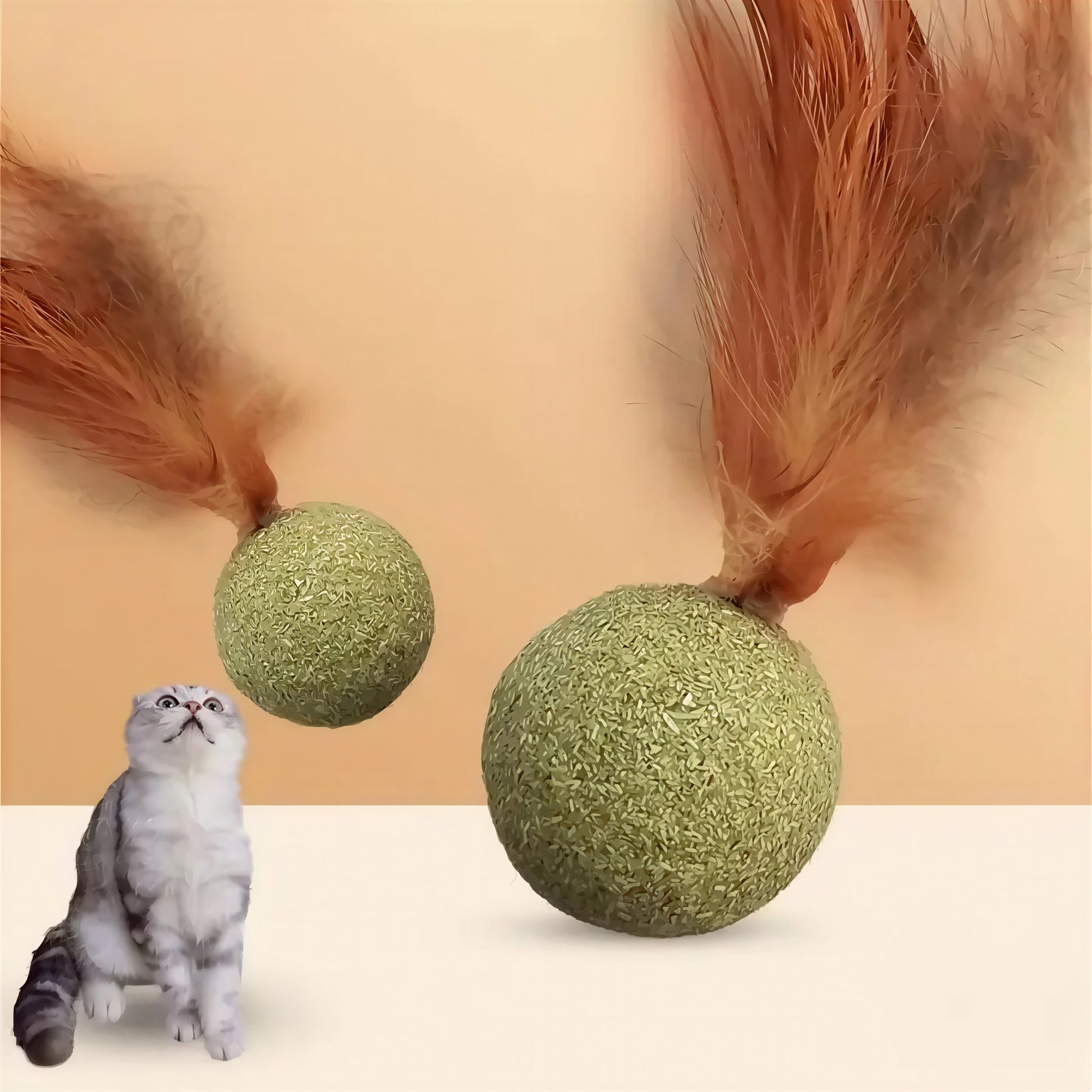 Herbe à Chat Ronde avec une Plume - vue 2