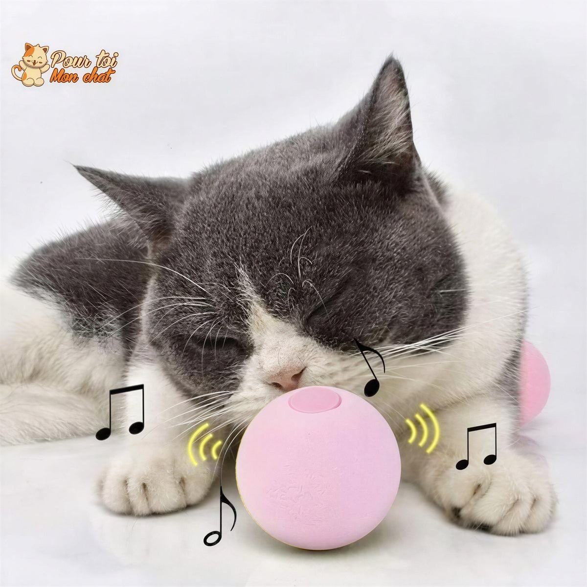 Balle avec des sons d'animaux - Music'Balls™ Pour toi Mon chat