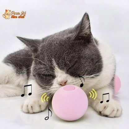 Balle avec des sons d'animaux - Music'Balls™ Pour toi Mon chat