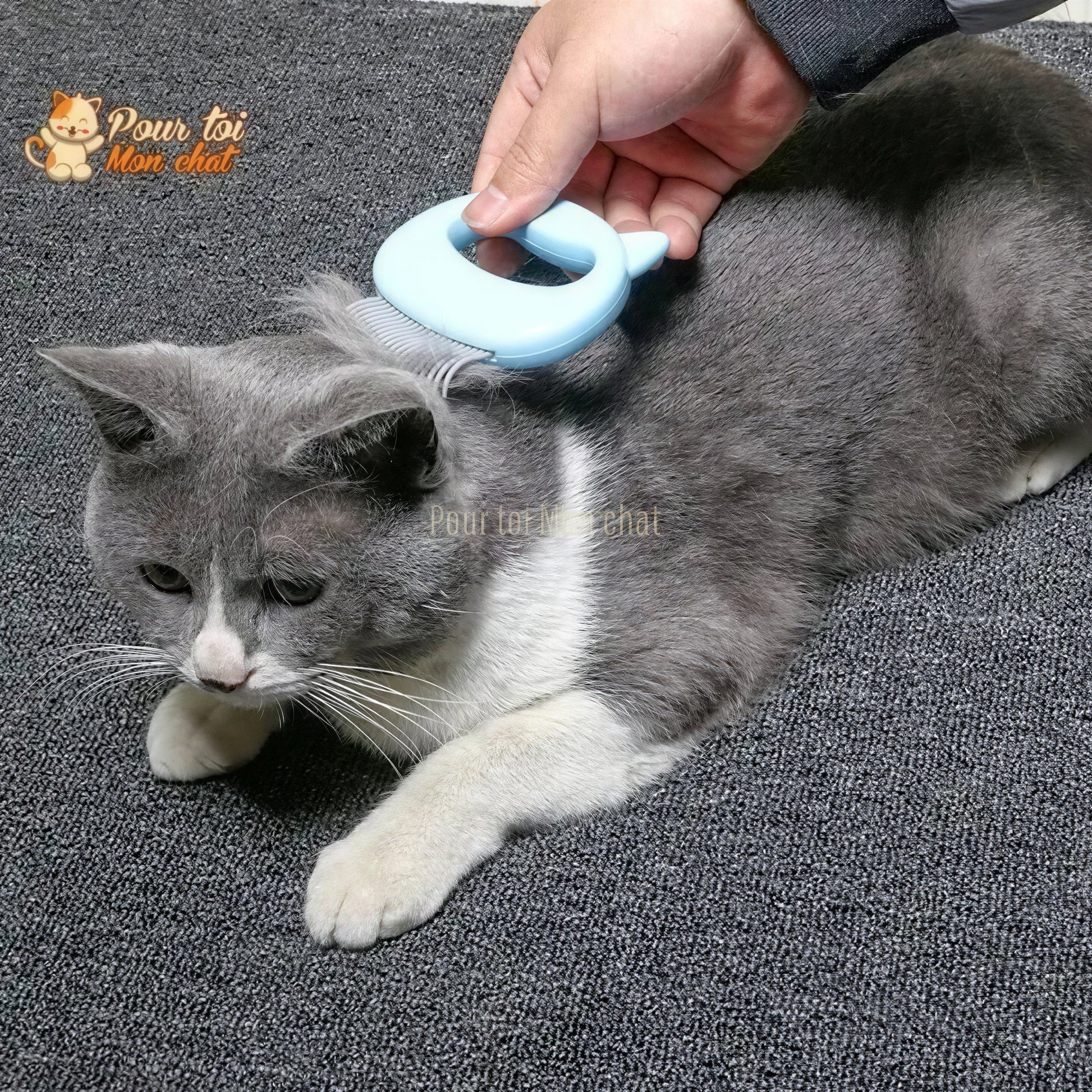 Peigne de toilettage et de massage pour chats – Grat’monChat™ Pour toi Mon chat