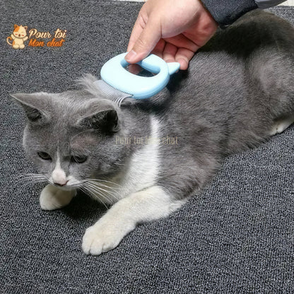 Peigne de toilettage et de massage pour chats – Grat’monChat™ Pour toi Mon chat