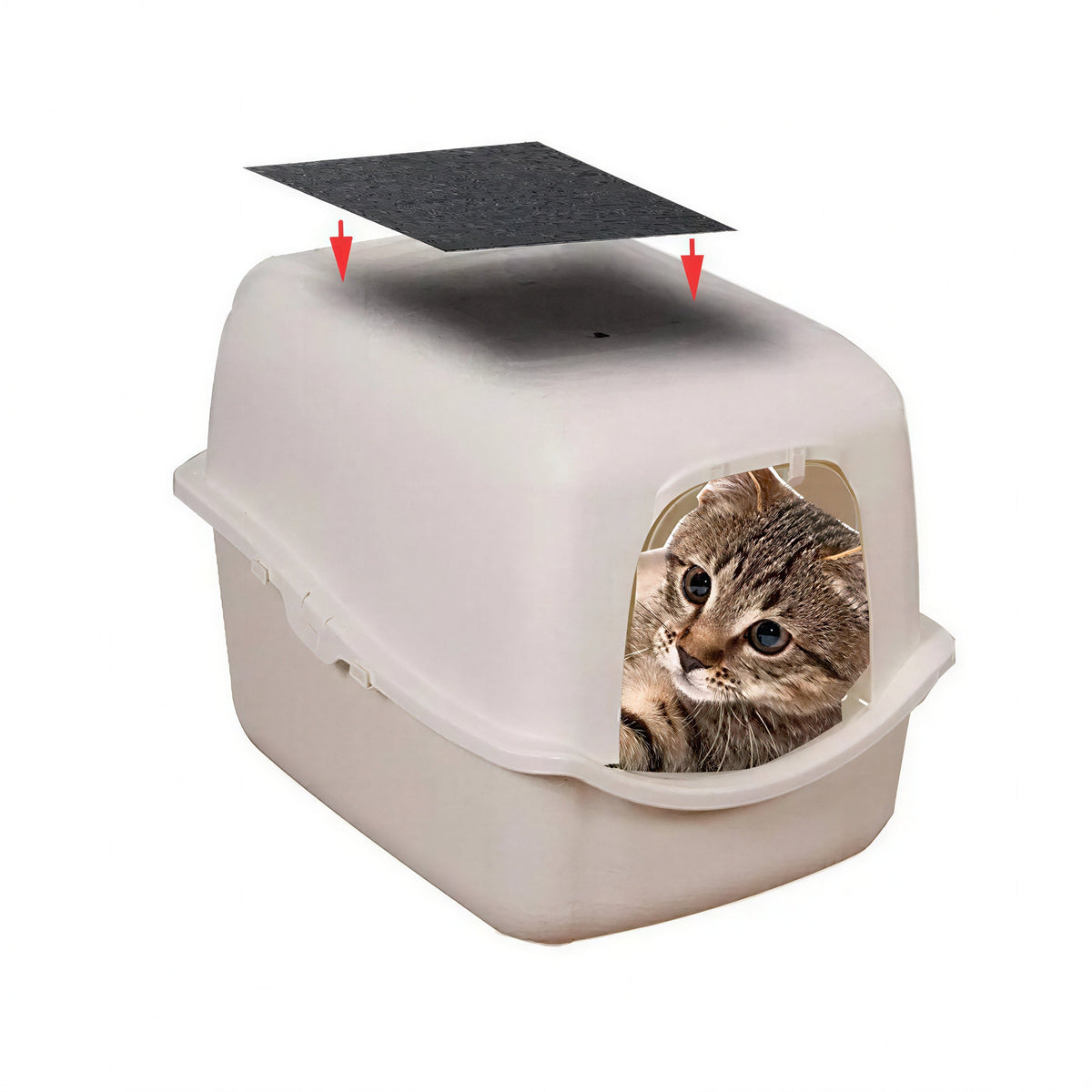 Lot de 6 filtres à charbon actif pour bac à litière pour chat Pour toi Mon chat