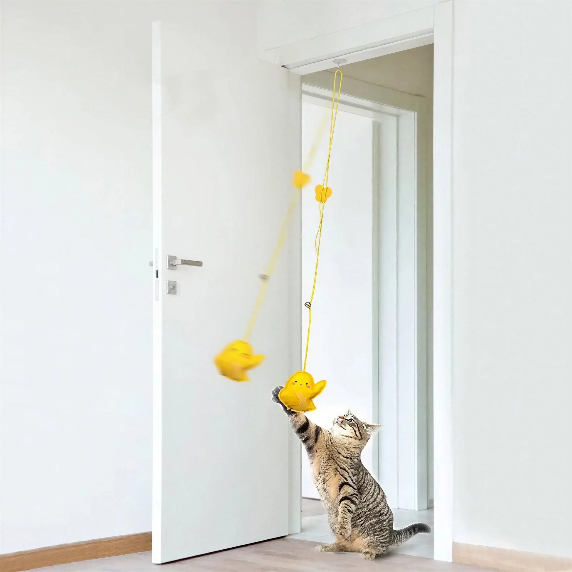 Jouet interactif suspendu pour chats Pour toi Mon chat