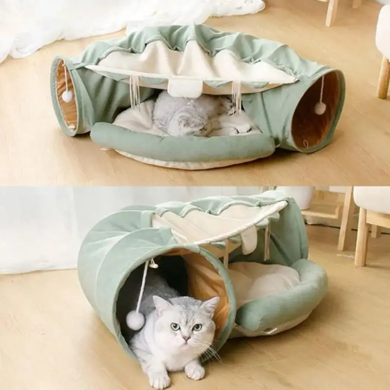 Jouet pour Chat Lit Tunnel Pliable