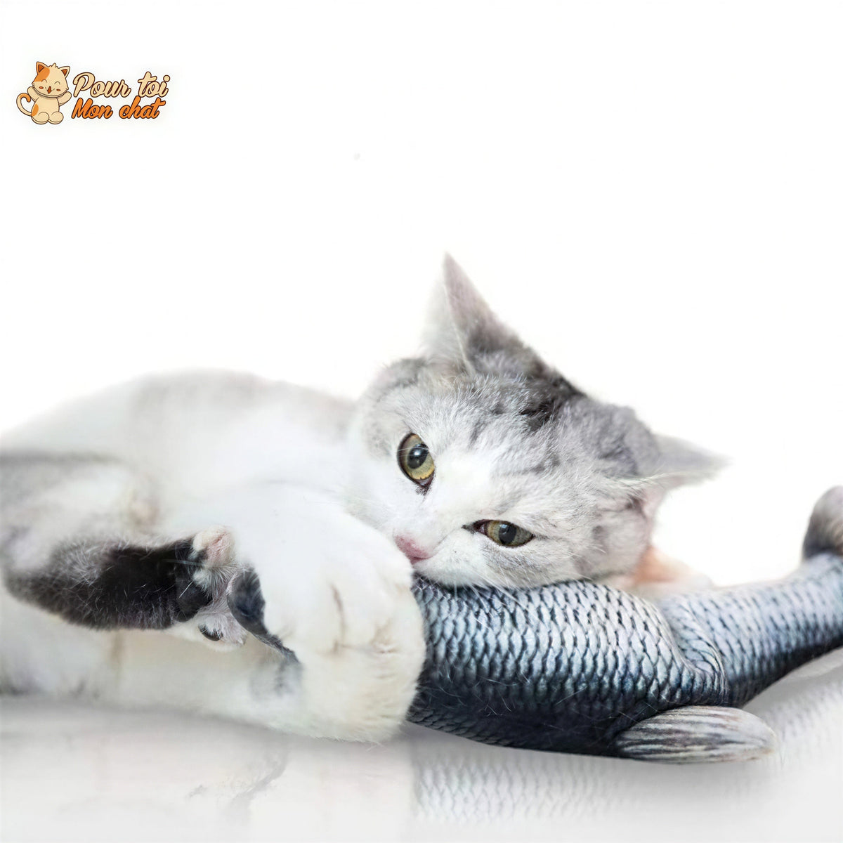 Poisson Sauteur Jouet pour Chat - Attrap'Fish™ Pour toi Mon chat