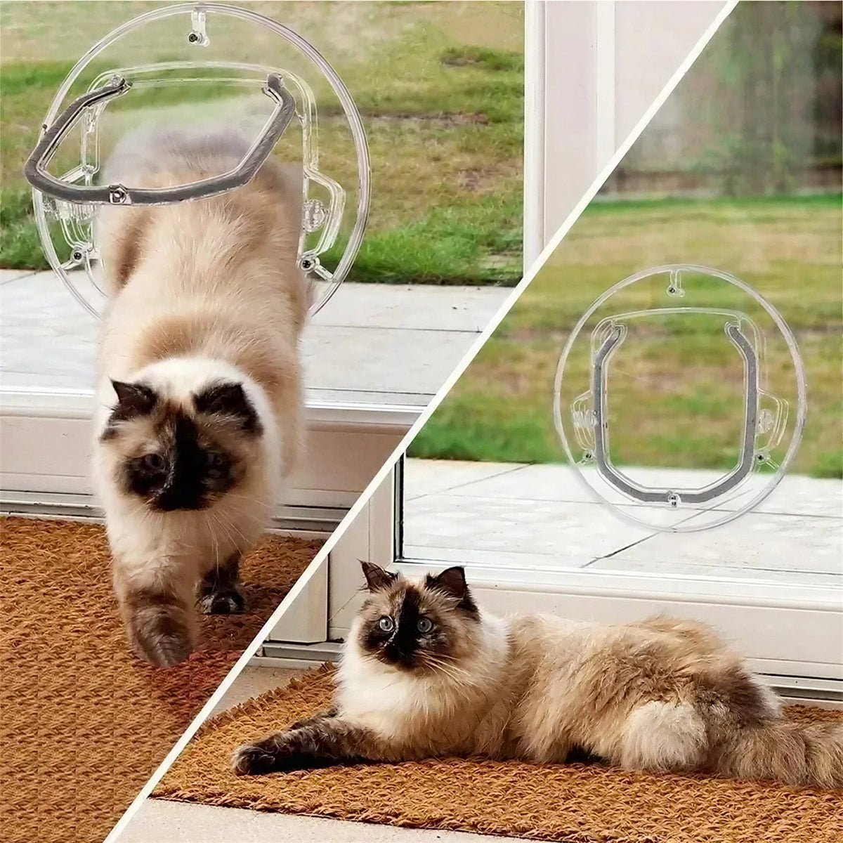 Chatière Transparente avec Quatre Positions Pour toi Mon chat