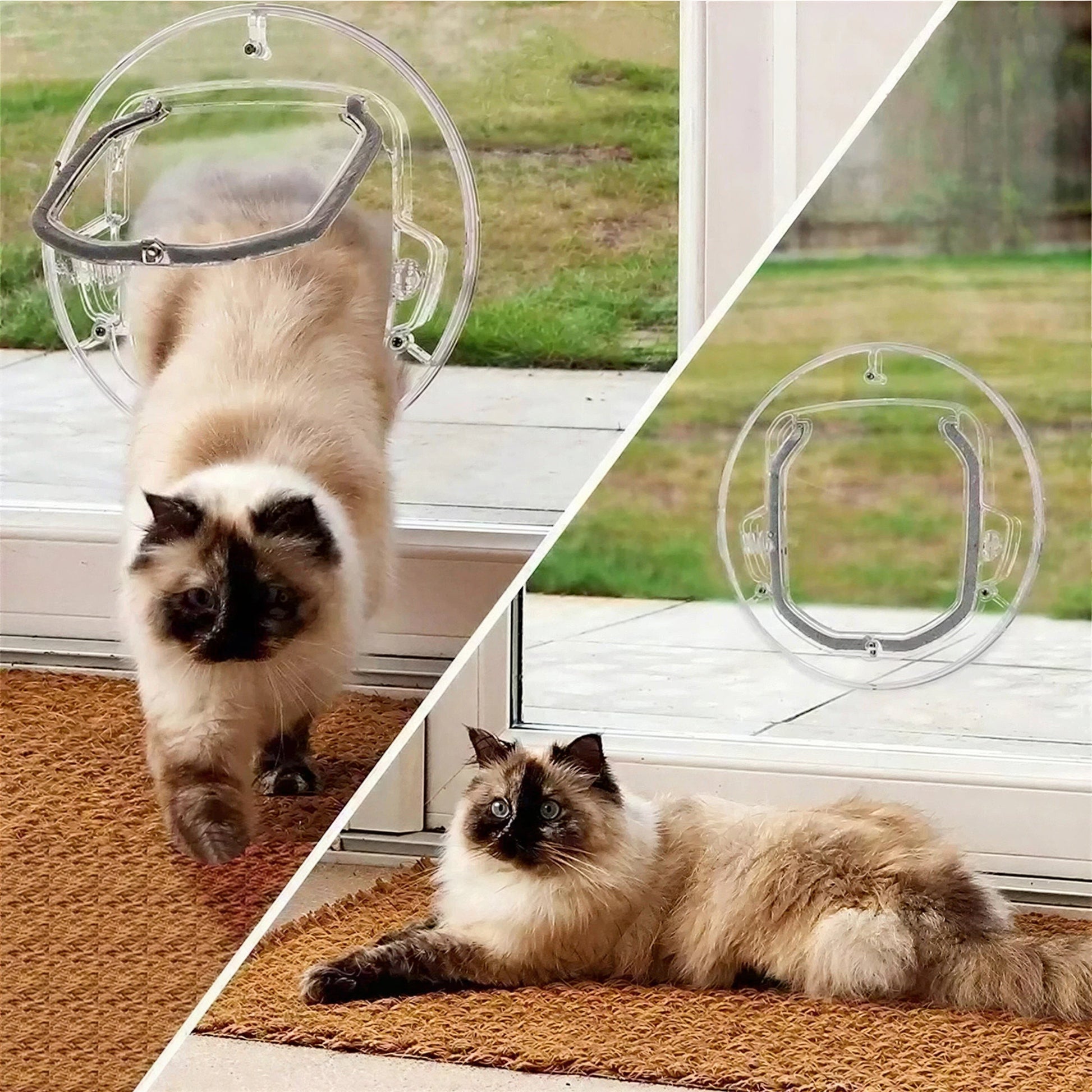 Chatière Transparente avec Quatre Positions Pour toi Mon chat