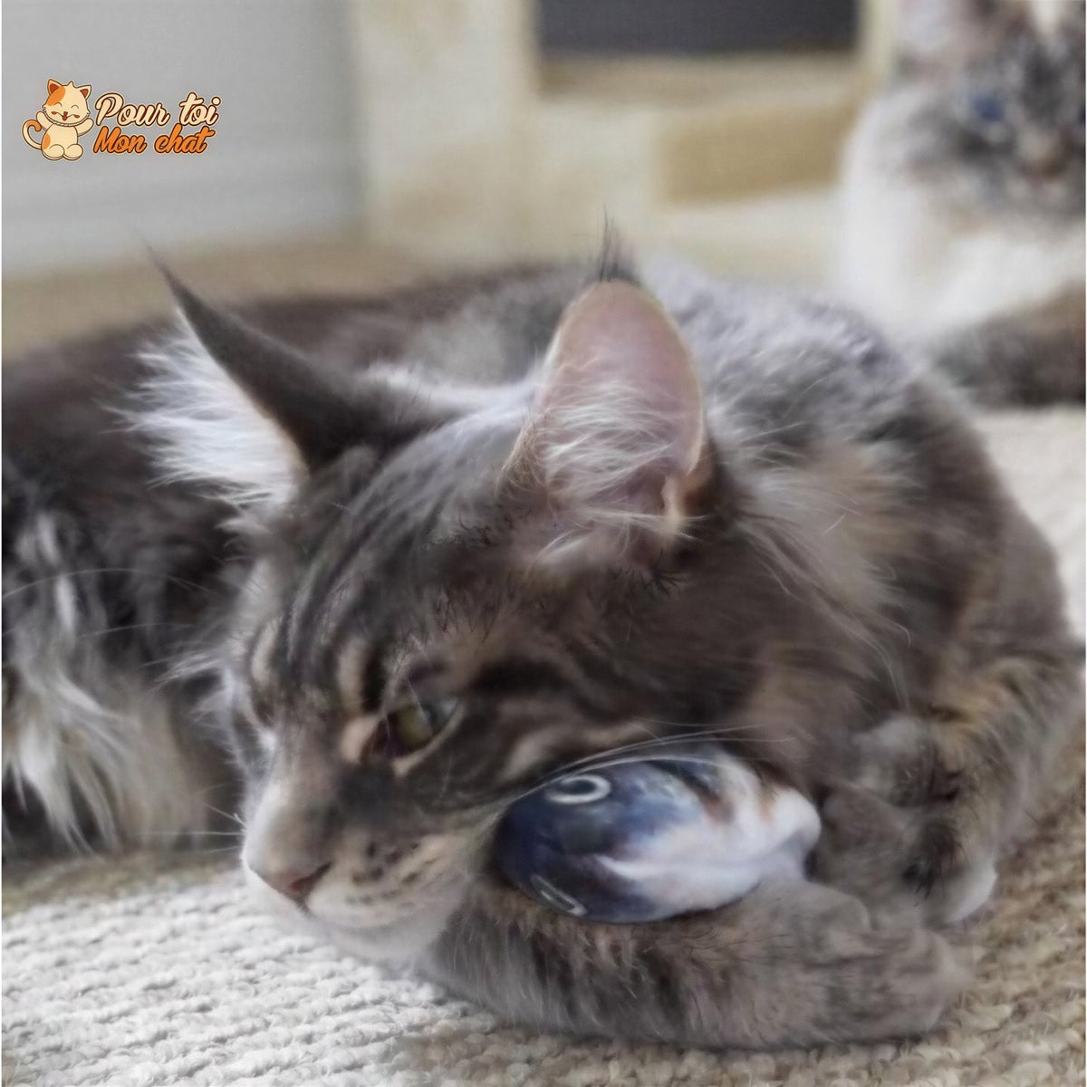 Poisson Sauteur Jouet pour Chat - Attrap'Fish™ Pour toi Mon chat