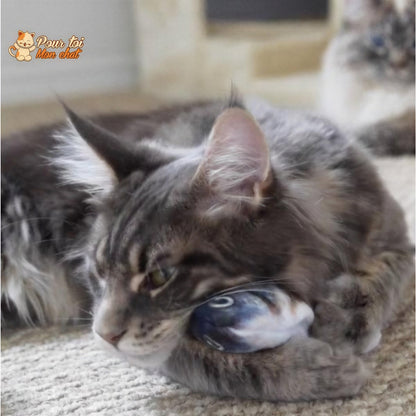 Poisson Sauteur Jouet pour Chat - Attrap'Fish™ Pour toi Mon chat