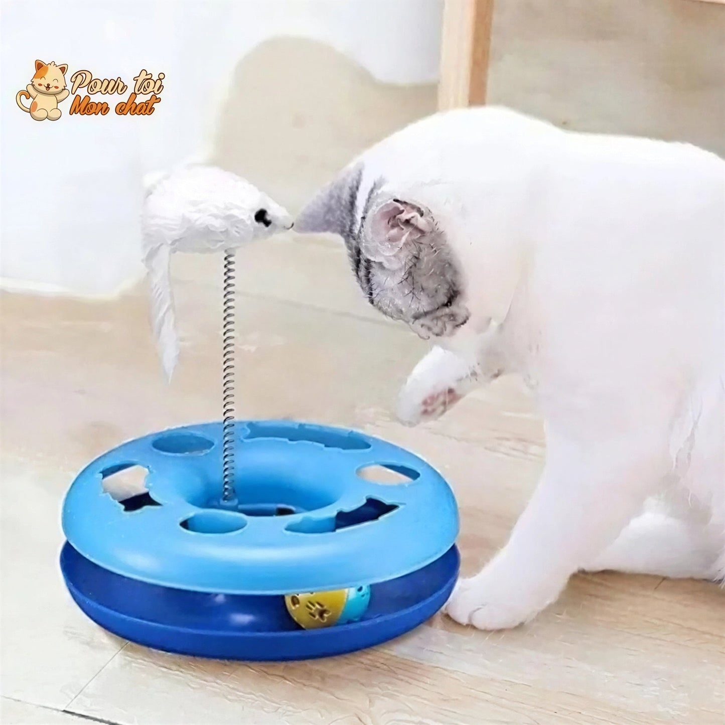 Jouet à balles et plumes : 2 jouets en 1 interactifs pour chat - Pilou-Pilou™ Pour toi Mon chat