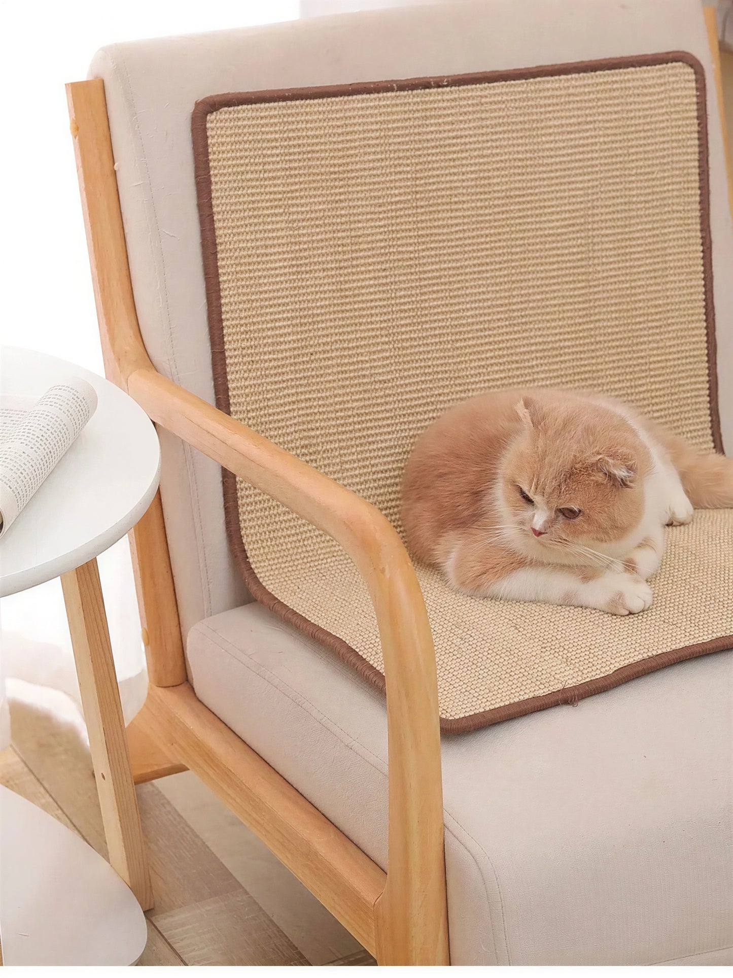 Grattoir et tapis de protection pour canapé pour chat - vue 2