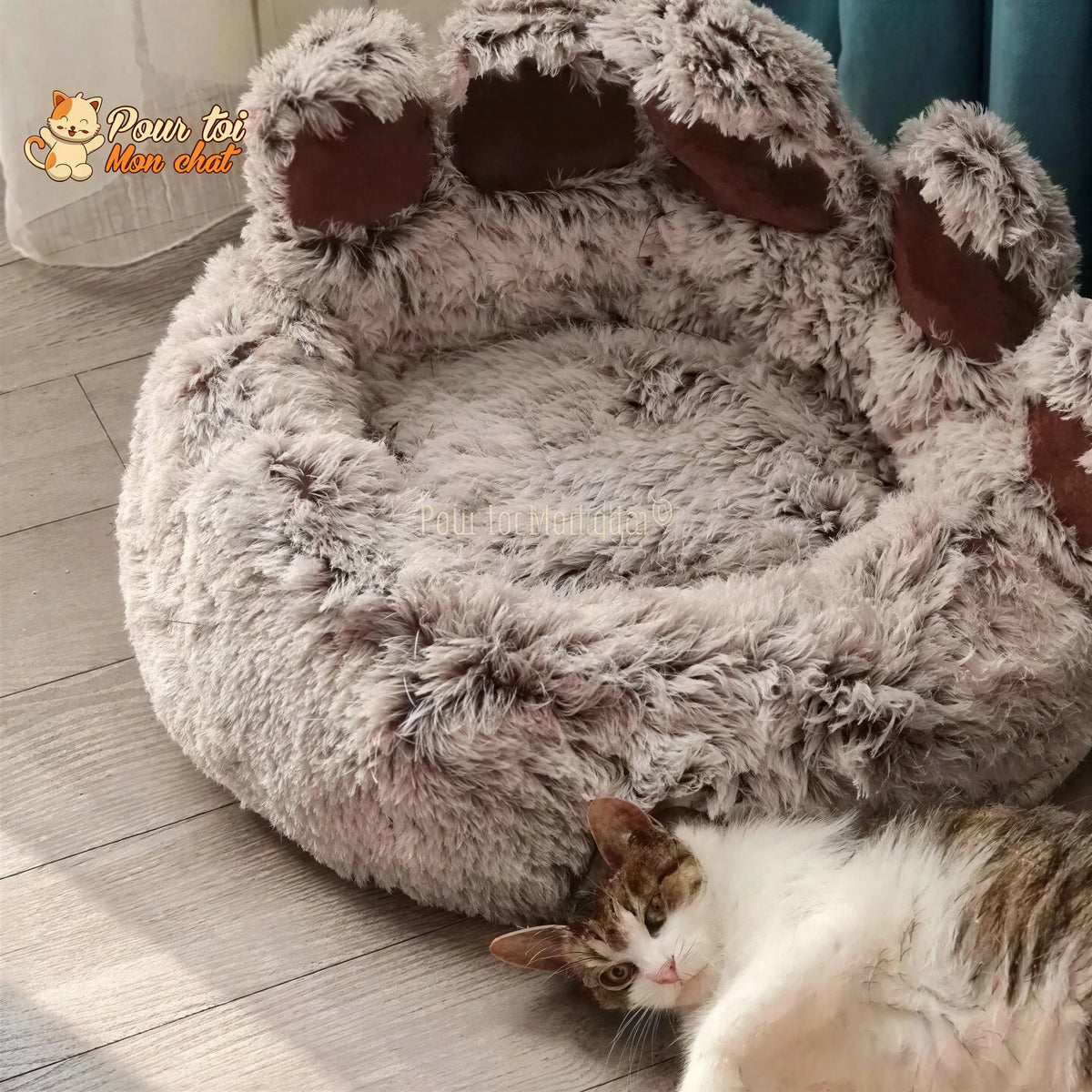 LIT À GRIFFES D’OURS POUR CHAT - TEDDYCAT™ Pour toi Mon chat
