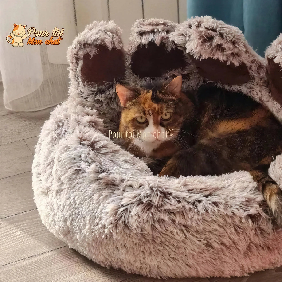 LIT À GRIFFES D’OURS POUR CHAT - TEDDYCAT™ Pour toi Mon chat