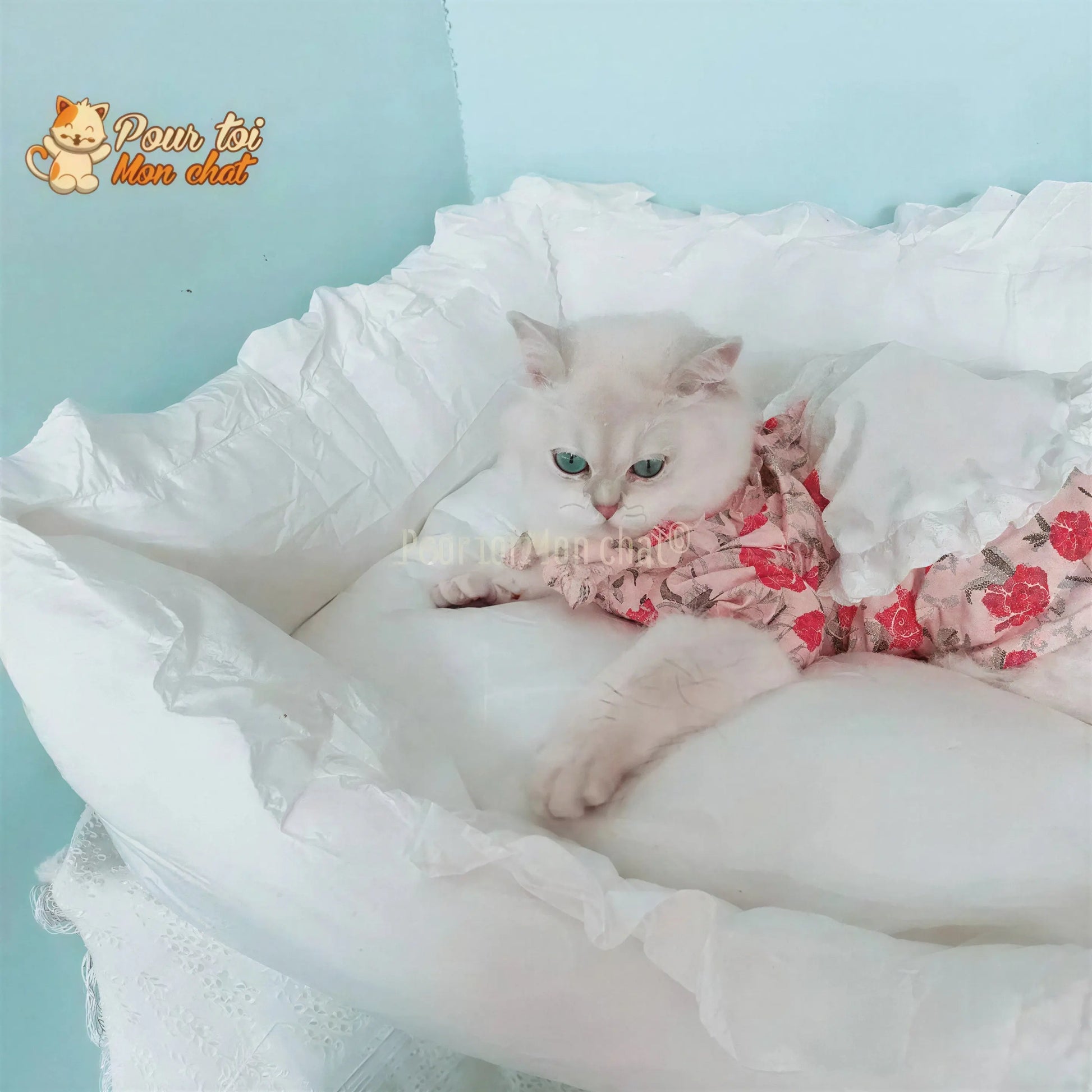 LIT COUSSIN DE PRINCESSE MIGNON EN DENTELLES POUR CHAT – Chat’dentelles™ Pour toi Mon chat