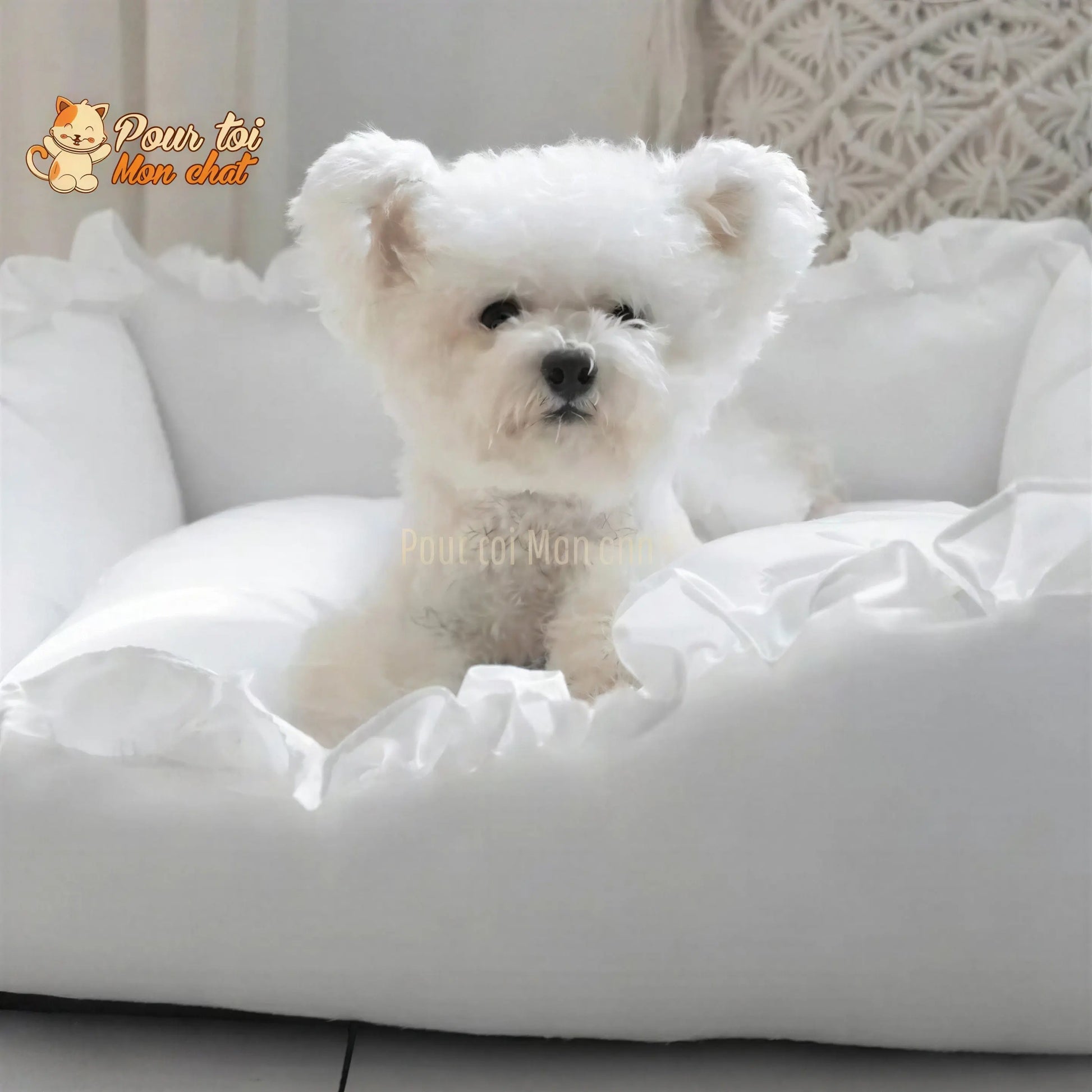 LIT COUSSIN DE PRINCESSE MIGNON EN DENTELLES POUR CHAT – Chat’dentelles™ Pour toi Mon chat