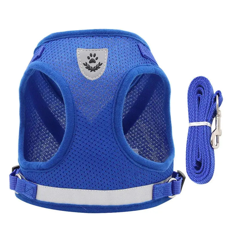 Laisse pour Chaton Style Gilet Respirant et Réfléchissant