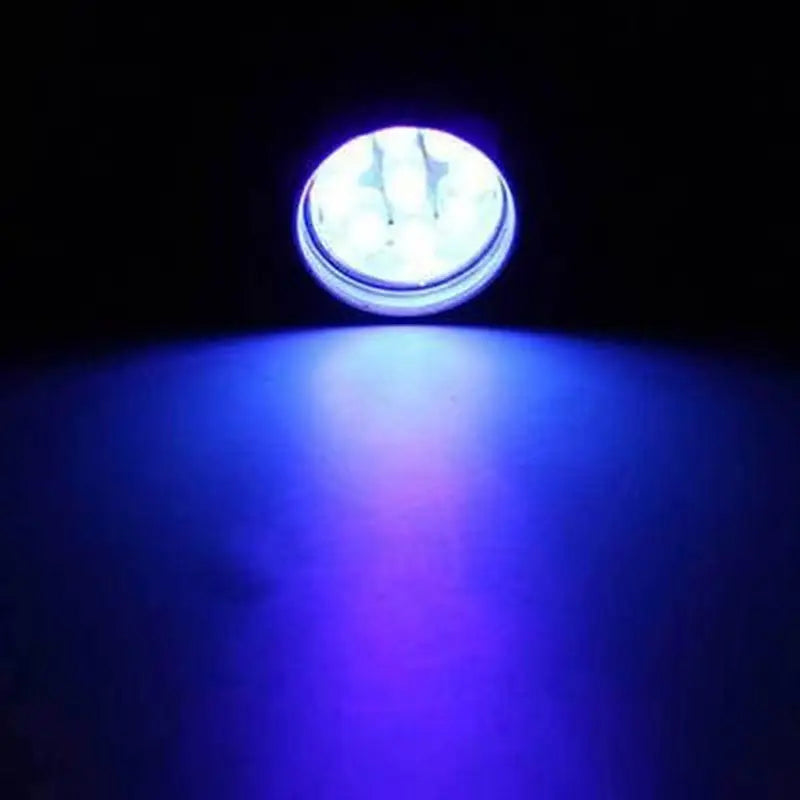 Lampe de poche LED pour inspecter les traces d'urine de chat Pour toi Mon chat