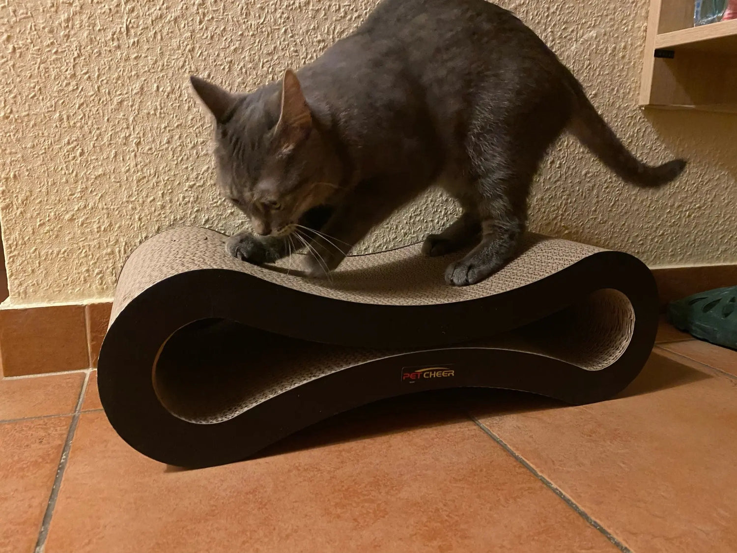 Lit à gratter pour chat en carton ondulé Pour toi Mon chat