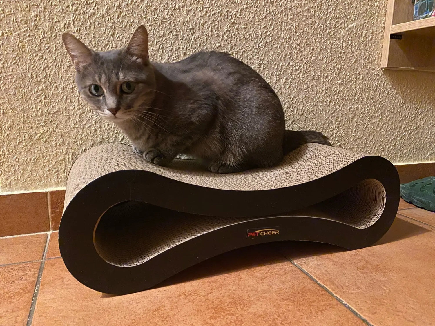 Lit à gratter pour chat en carton ondulé Pour toi Mon chat