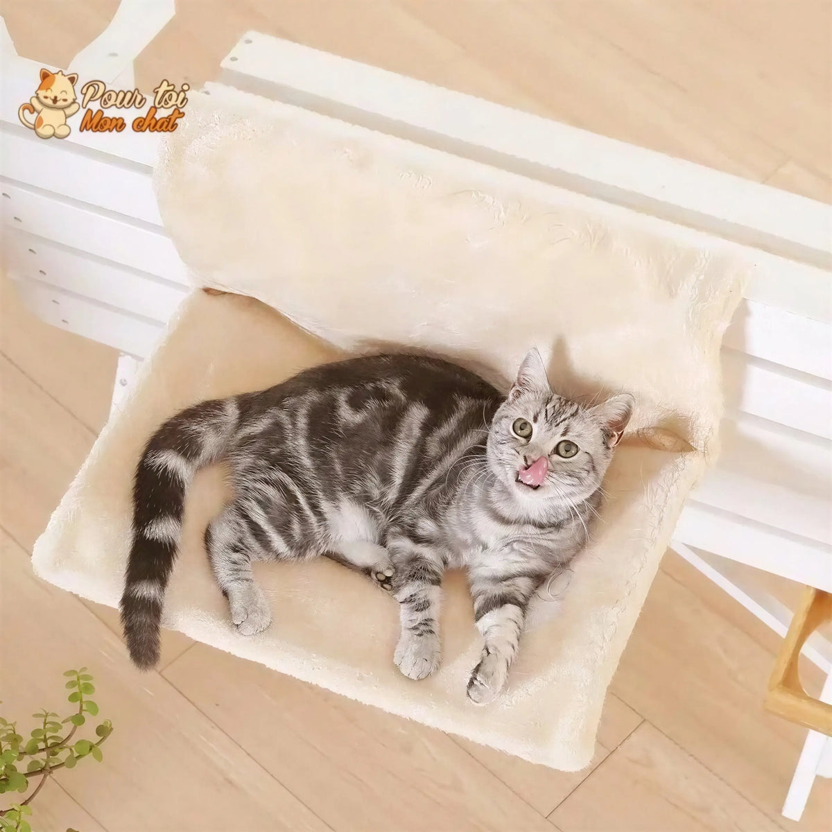 Lit doux fenêtre, lit, radiateur - Pour chat - Poz’Hamac™ Pour toi Mon chat