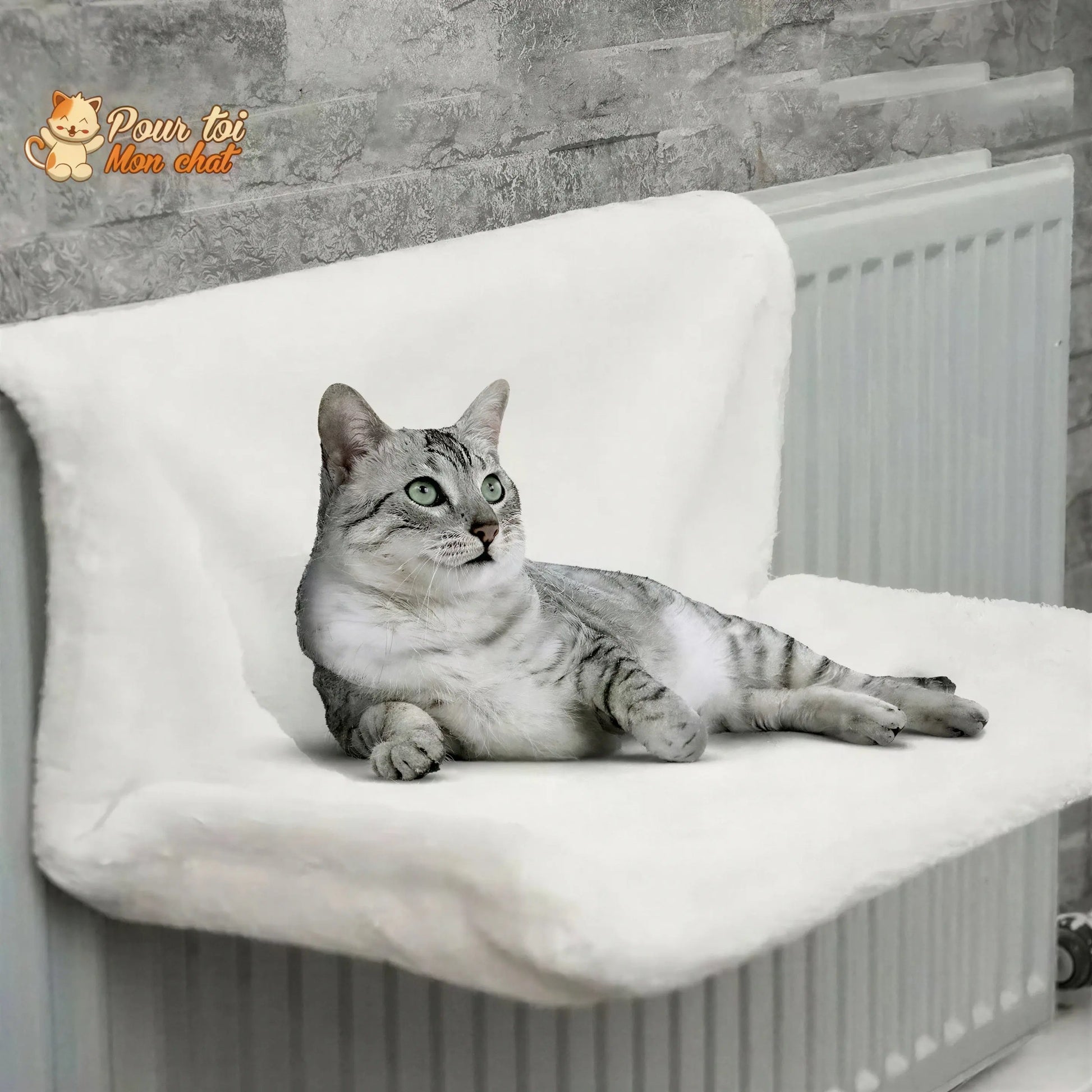 Lit doux fenêtre, lit, radiateur - Pour chat - Poz’Hamac™ Pour toi Mon chat