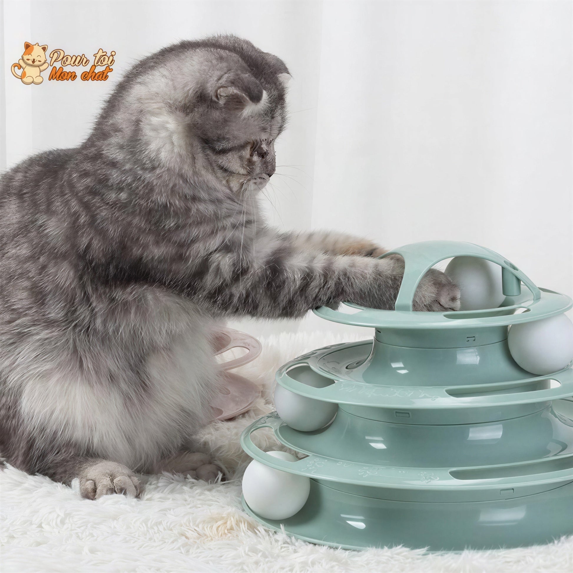 Jouet pour Chat avec Balles - Jeu2pistes™ Pour toi Mon chat