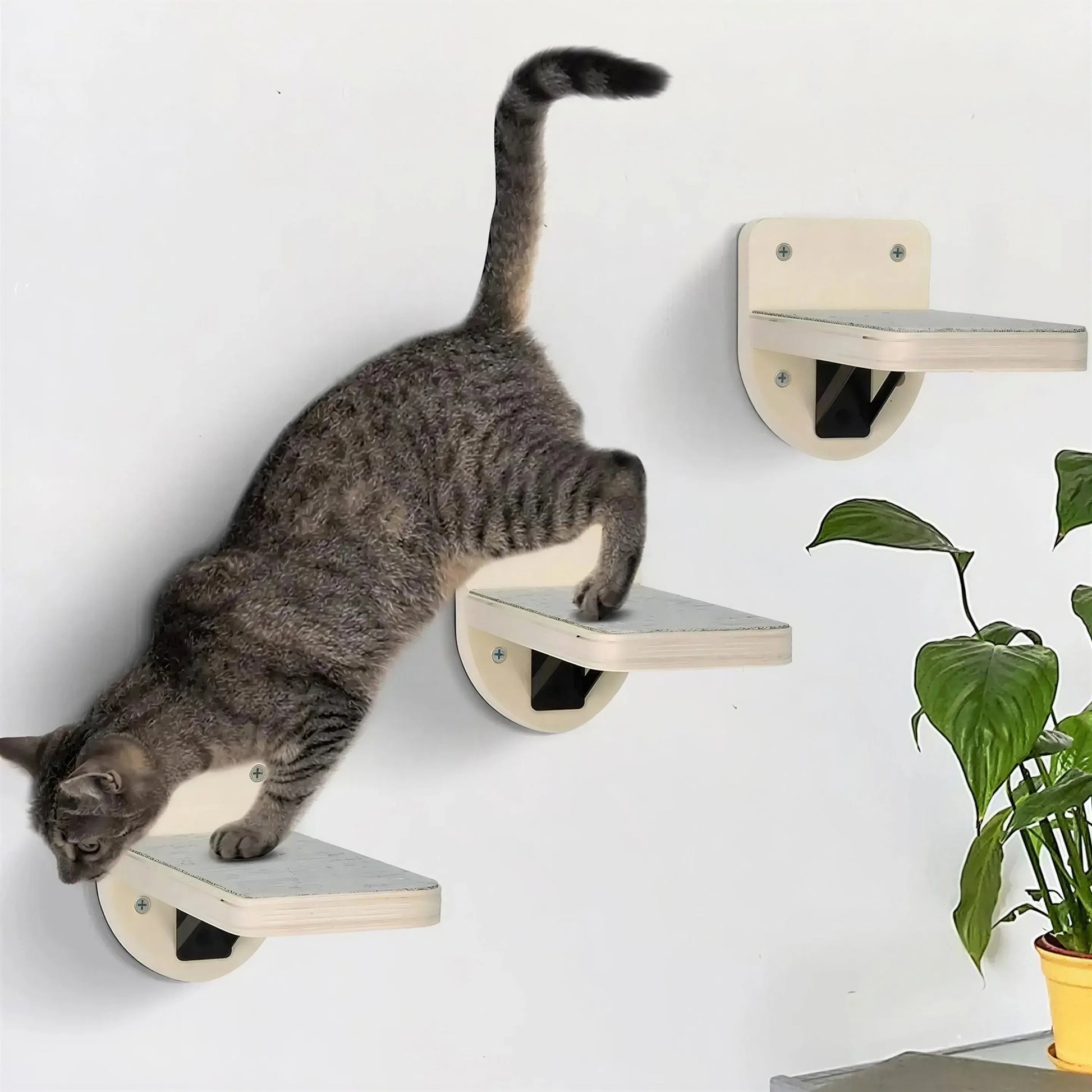 Lot de Trois Escaliers pour Chat Style Plateforme Pour toi Mon chat