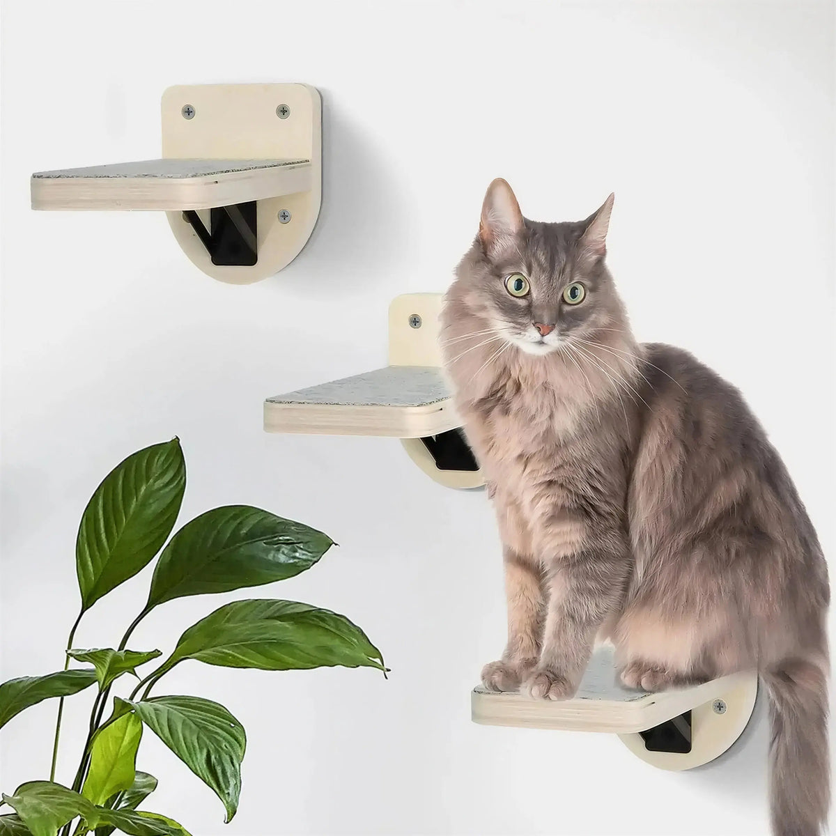 Lot de Trois Escaliers pour Chat Style Plateforme Pour toi Mon chat