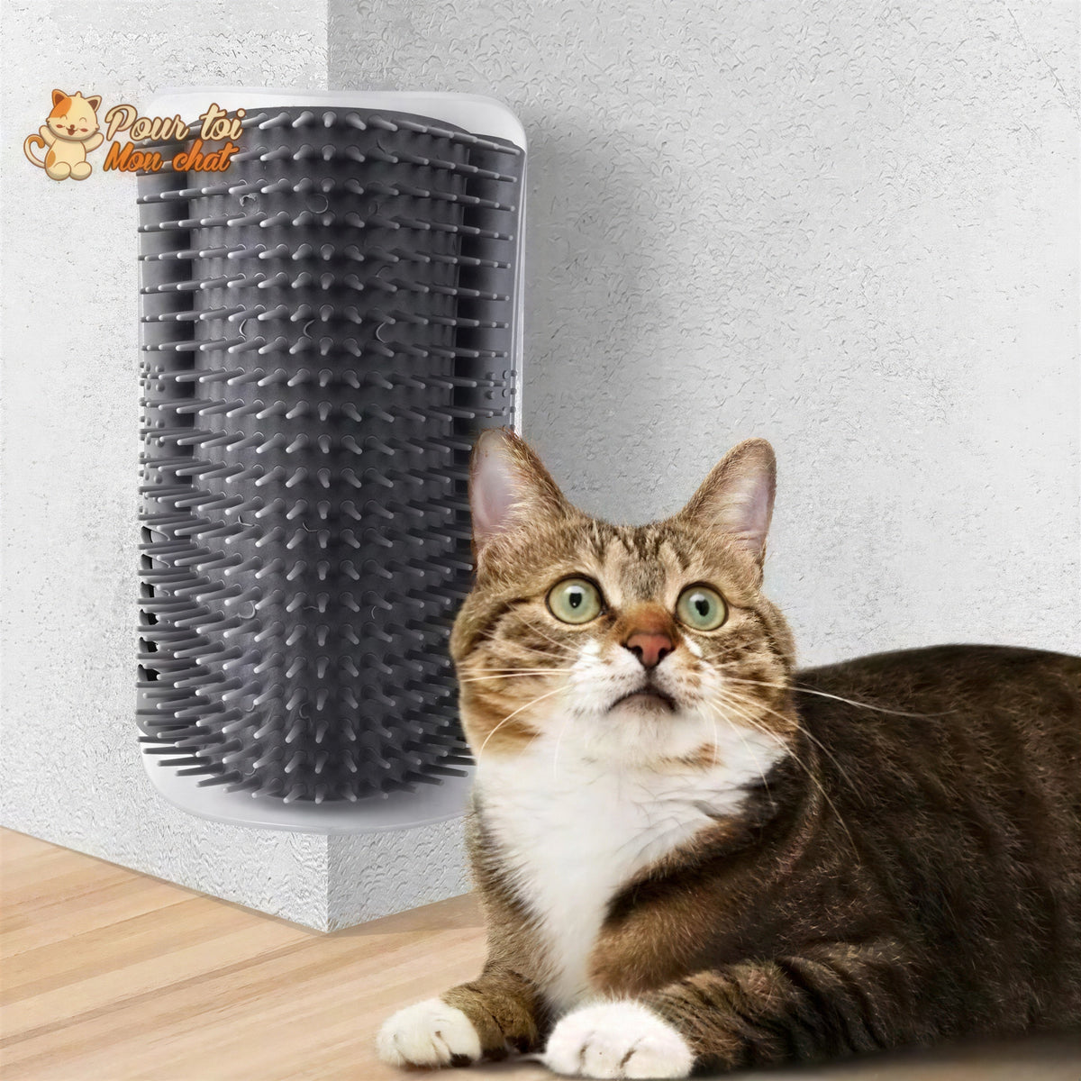 Brosse d’angle, auto-massage pour chats Pour toi Mon chat