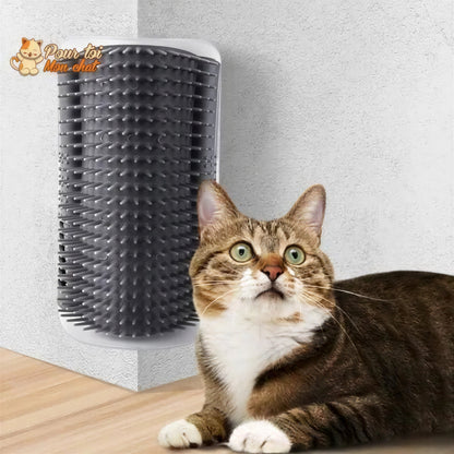 Brosse d’angle, auto-massage pour chats Pour toi Mon chat