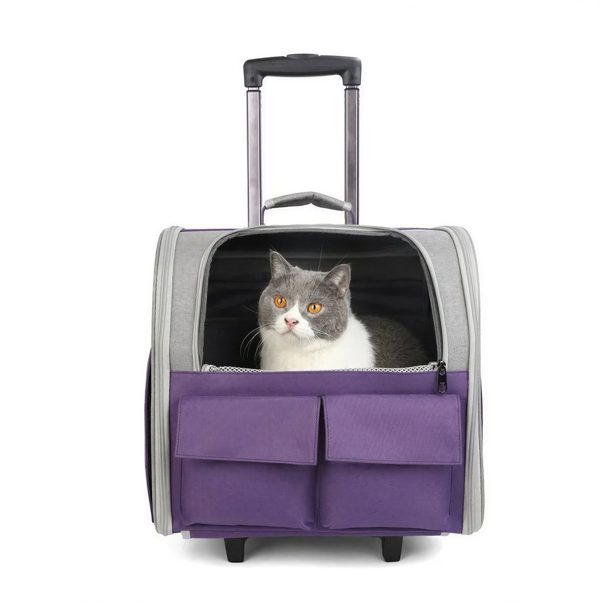 Sac de transport pliable pour chat Pour toi Mon chat