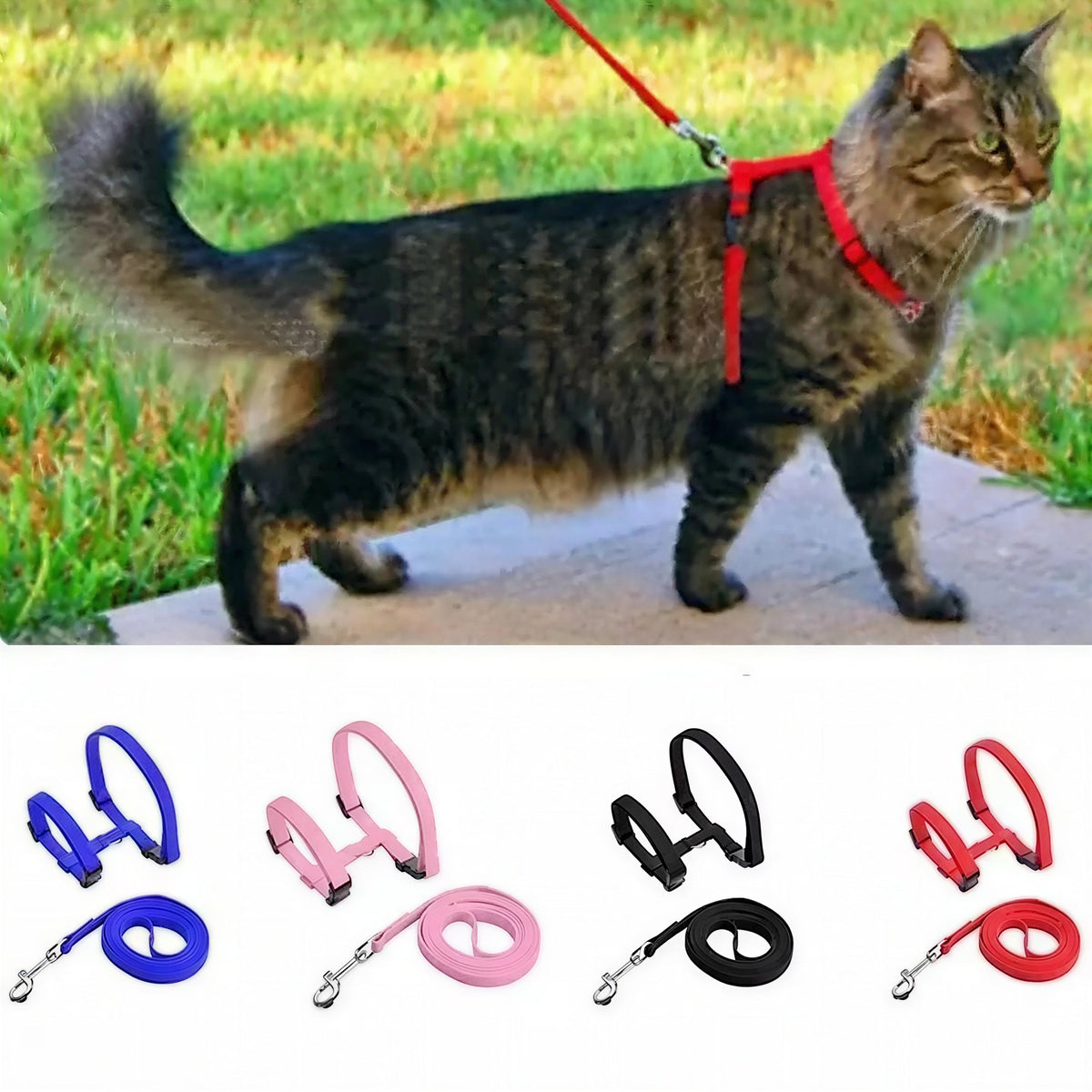 Collier en nylon réglable pour chat Pour toi Mon chat