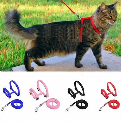 Collier en nylon réglable pour chat Pour toi Mon chat