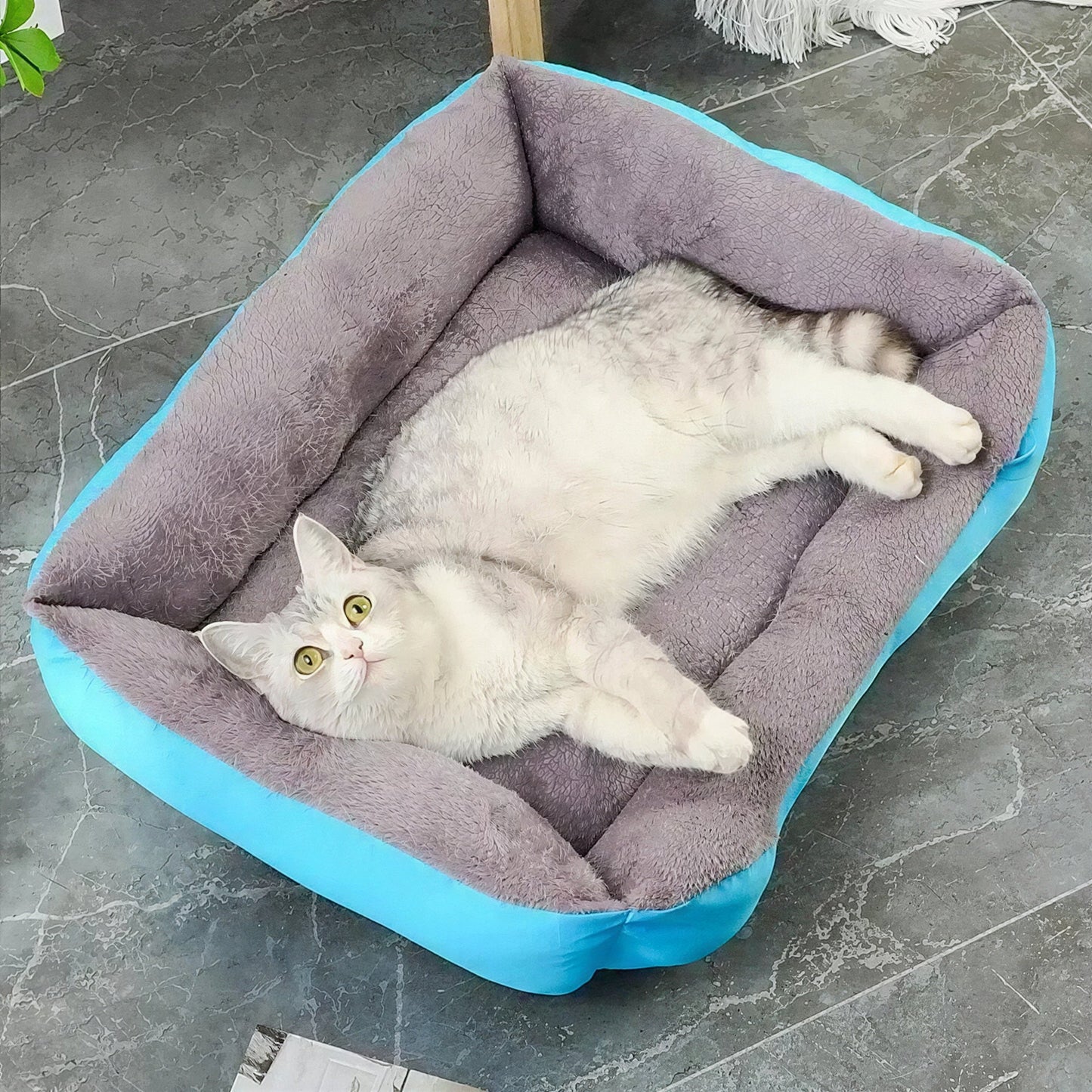 Coussin Chat, Maison, Niche, Confortable Repos Douillet Garanti, MinouDoux™ Pour toi Mon chat