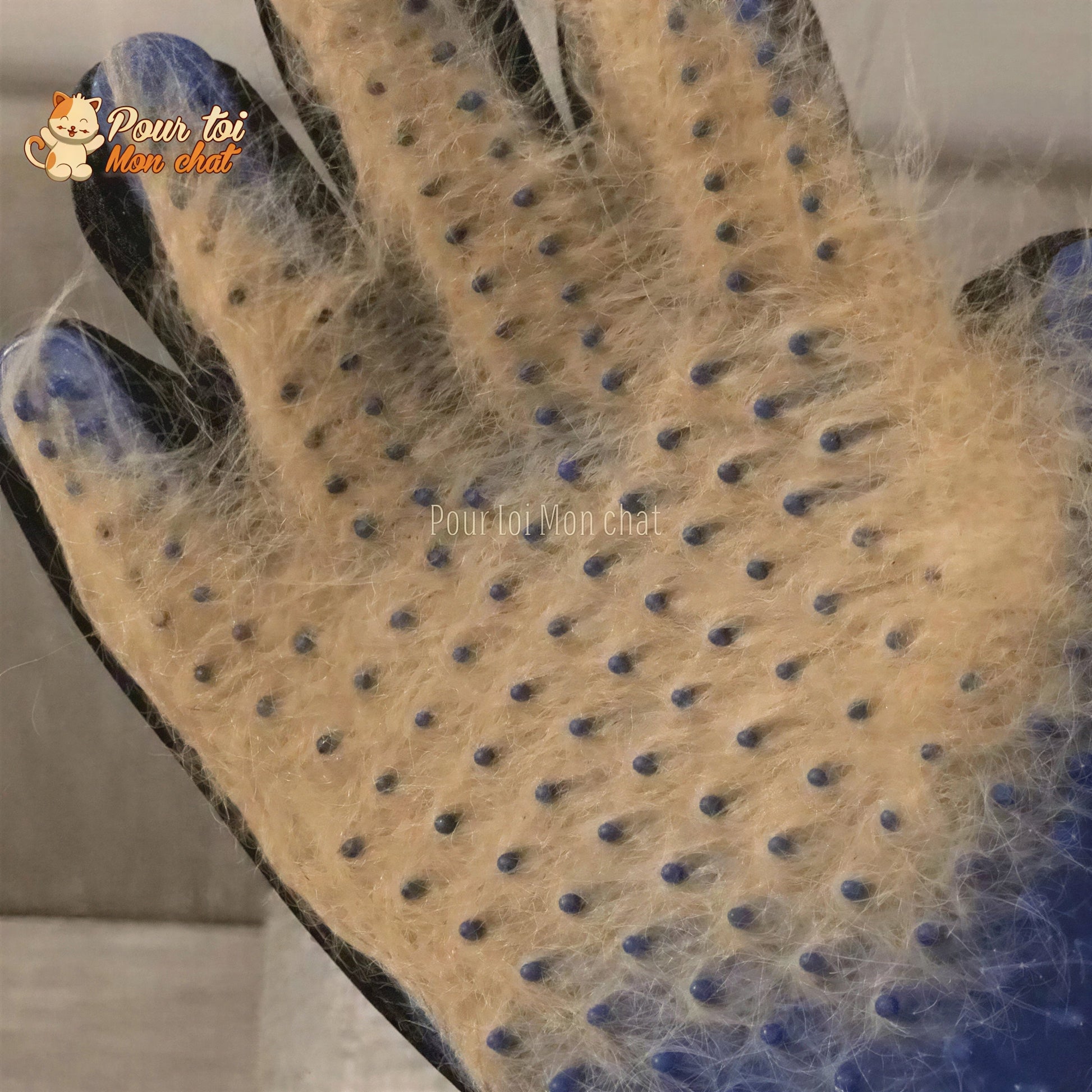 Gant de toilettage et de massage pour chat - Clean'Cat™ Pour toi Mon chat