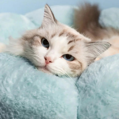 Lit de chat doux et lavable Pour toi Mon chat
