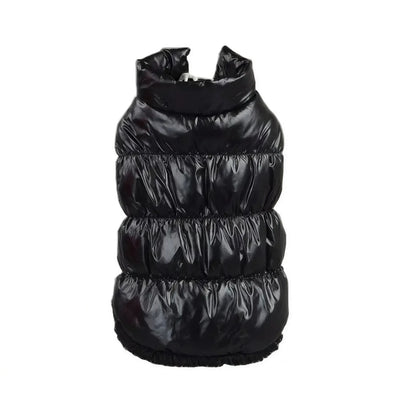 Manteau pour Chat Style Doudoune Imperméable pour l'Hiver Pour toi Mon chat