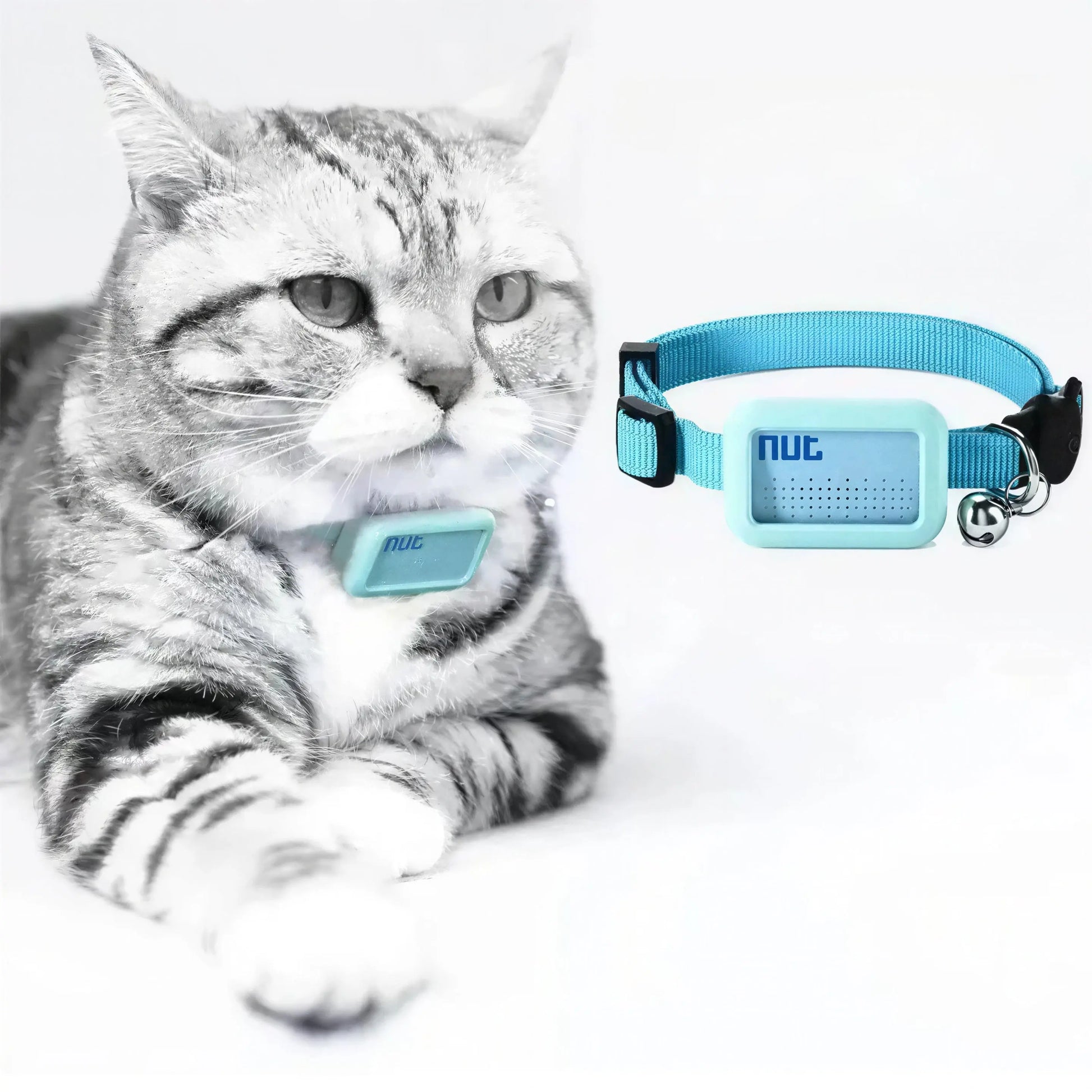 Mini Traceur GPS avec Collier pour Chat Pour toi Mon chat