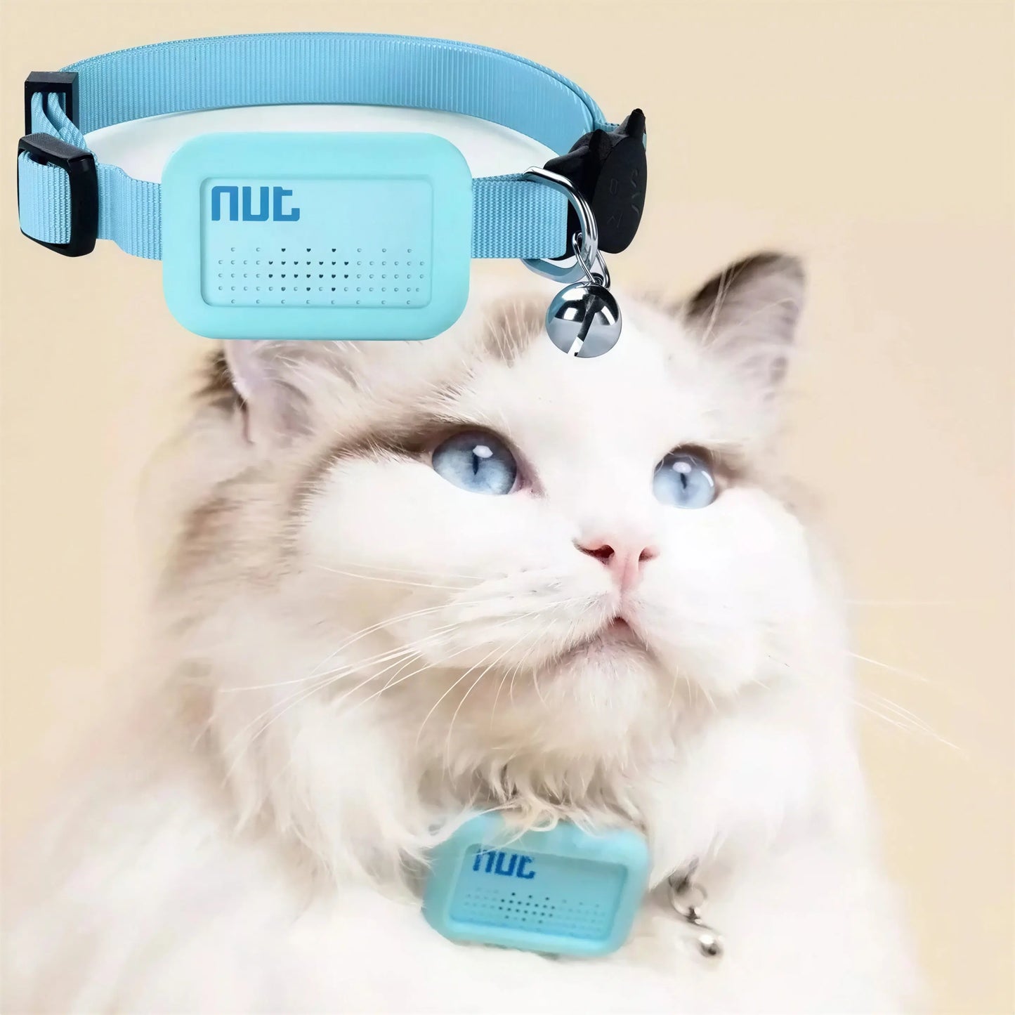 Mini Traceur GPS avec Collier pour Chat Pour toi Mon chat