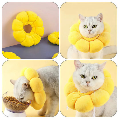 Collerette Chat Souple et Ajustable en Forme de Fleur Pour toi Mon chat