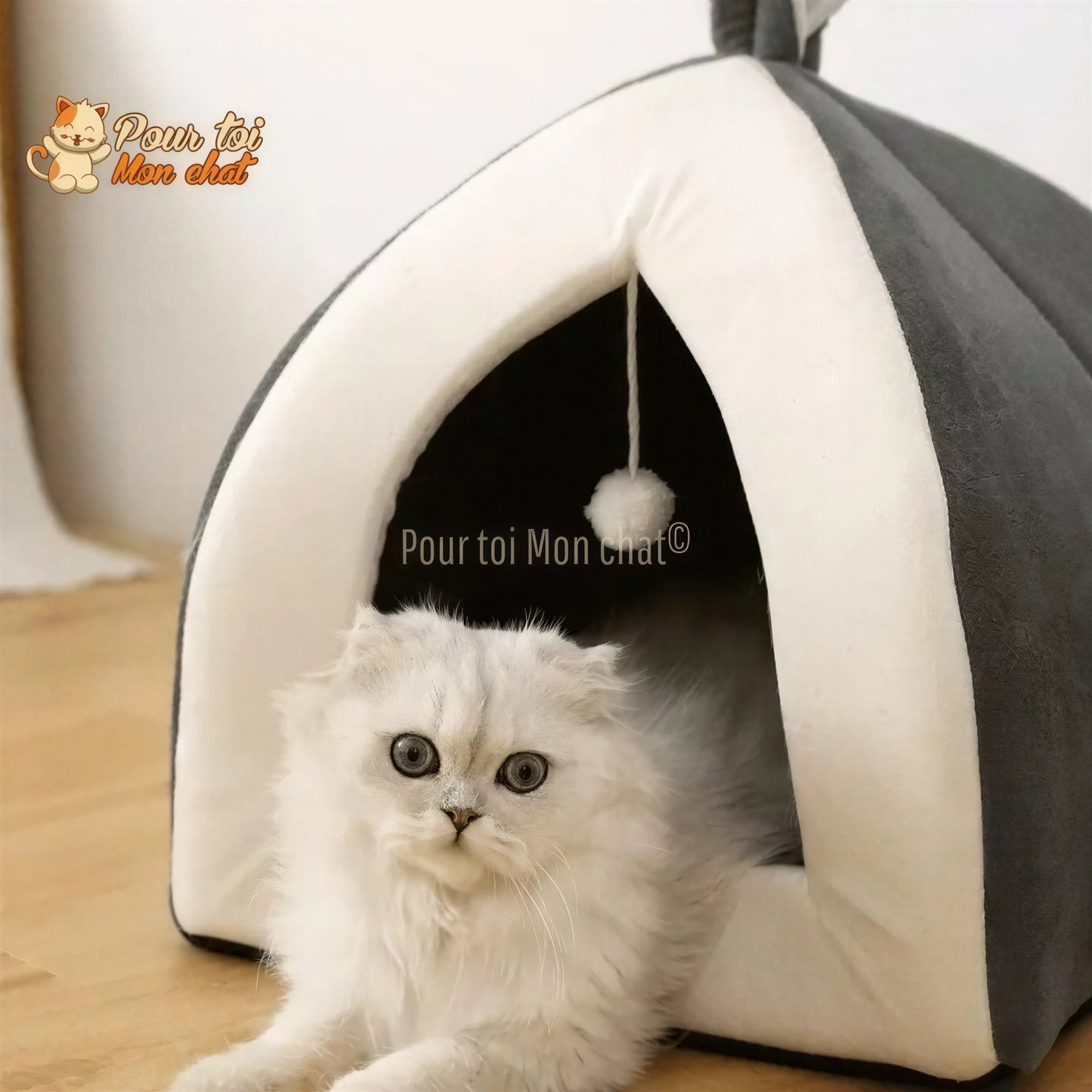 NICHE ORIGINALE À OREILLES DE LAPIN POUR CHAT – Oreill’Chat™ Pour toi Mon chat