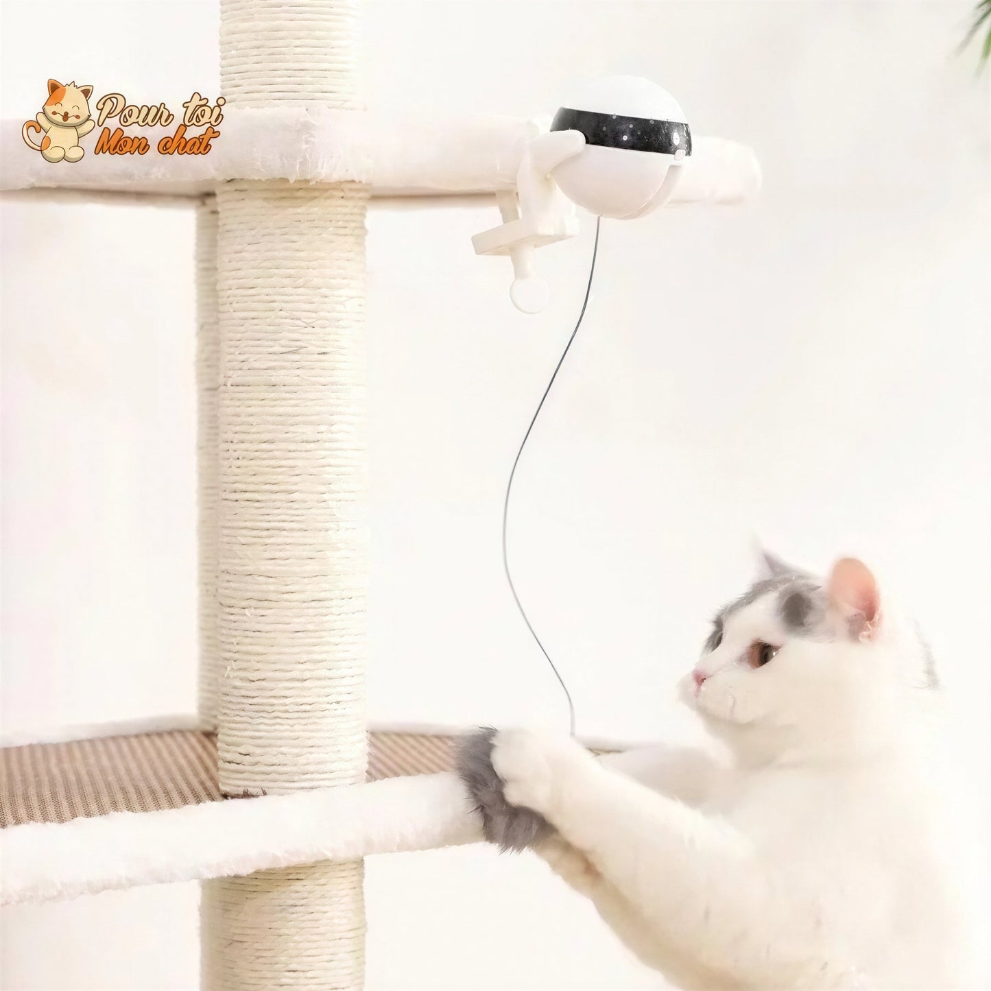 Balle Interactive pour chat - Attrap'Ball™ Pour toi Mon chat